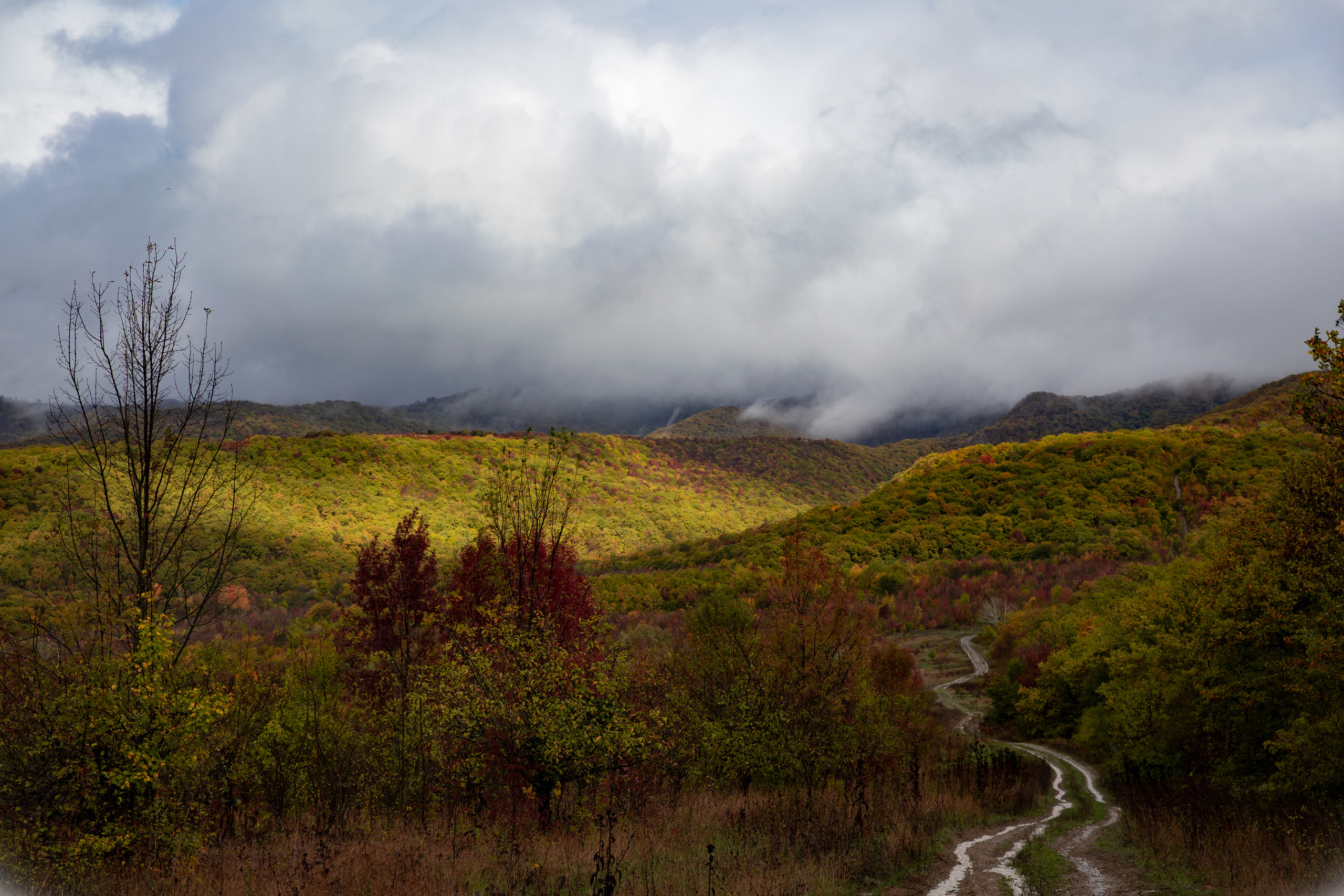 Северный Кавказ Волок. Фотографирую для себя, своей семьи и друзей!