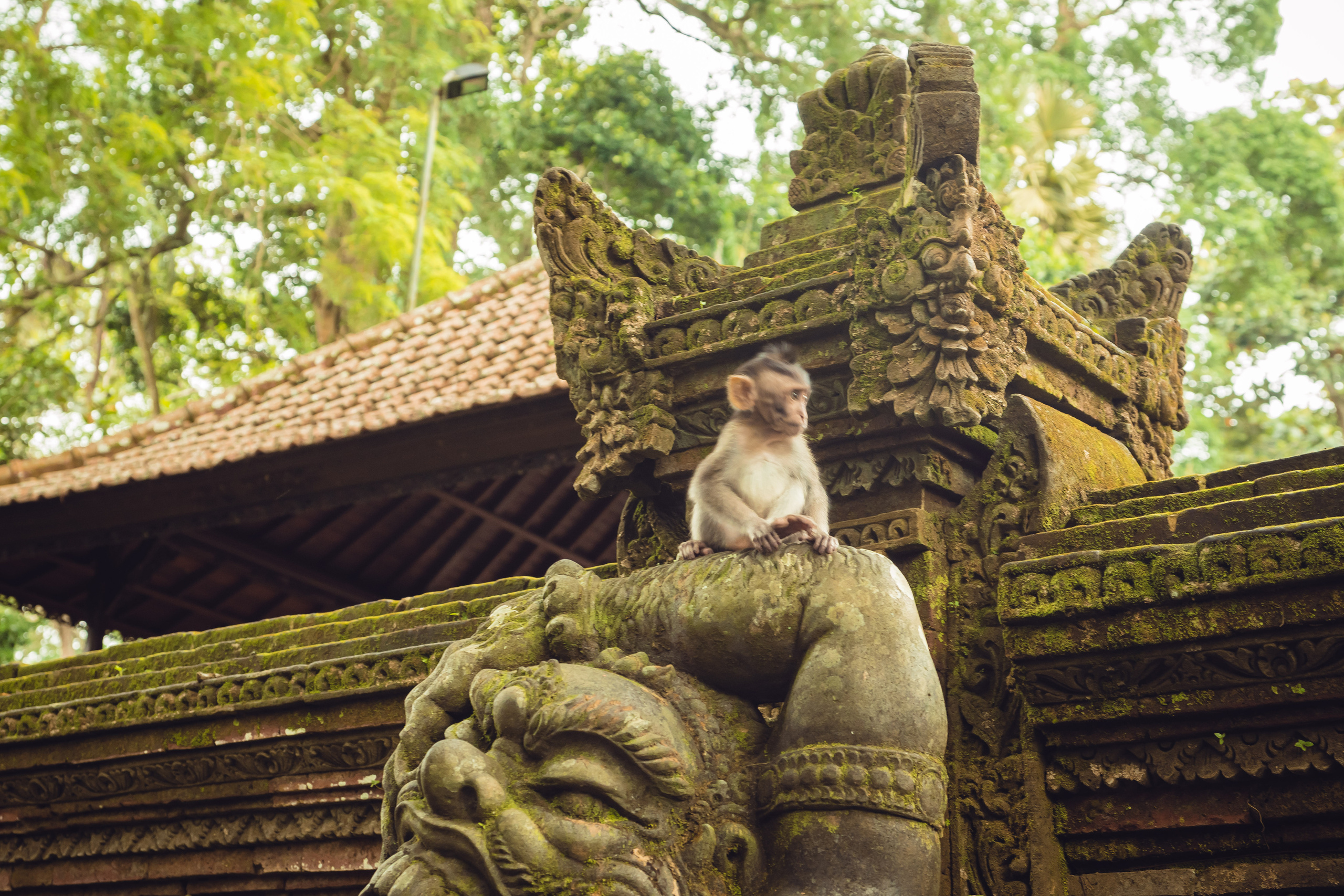 Бали. Фотографирую для себя, своей семьи и друзей!