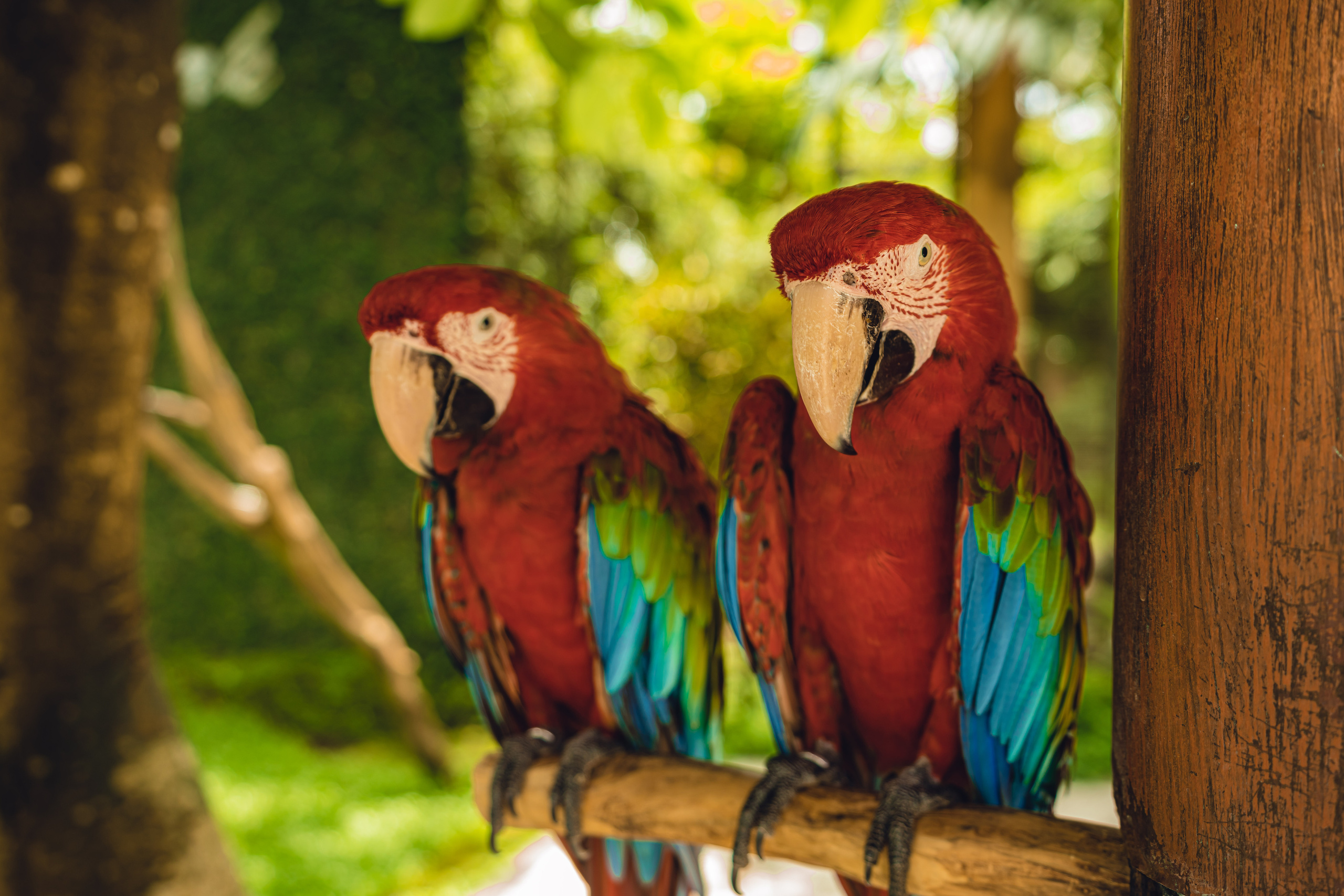 Бали. Фотографирую для себя, своей семьи и друзей!