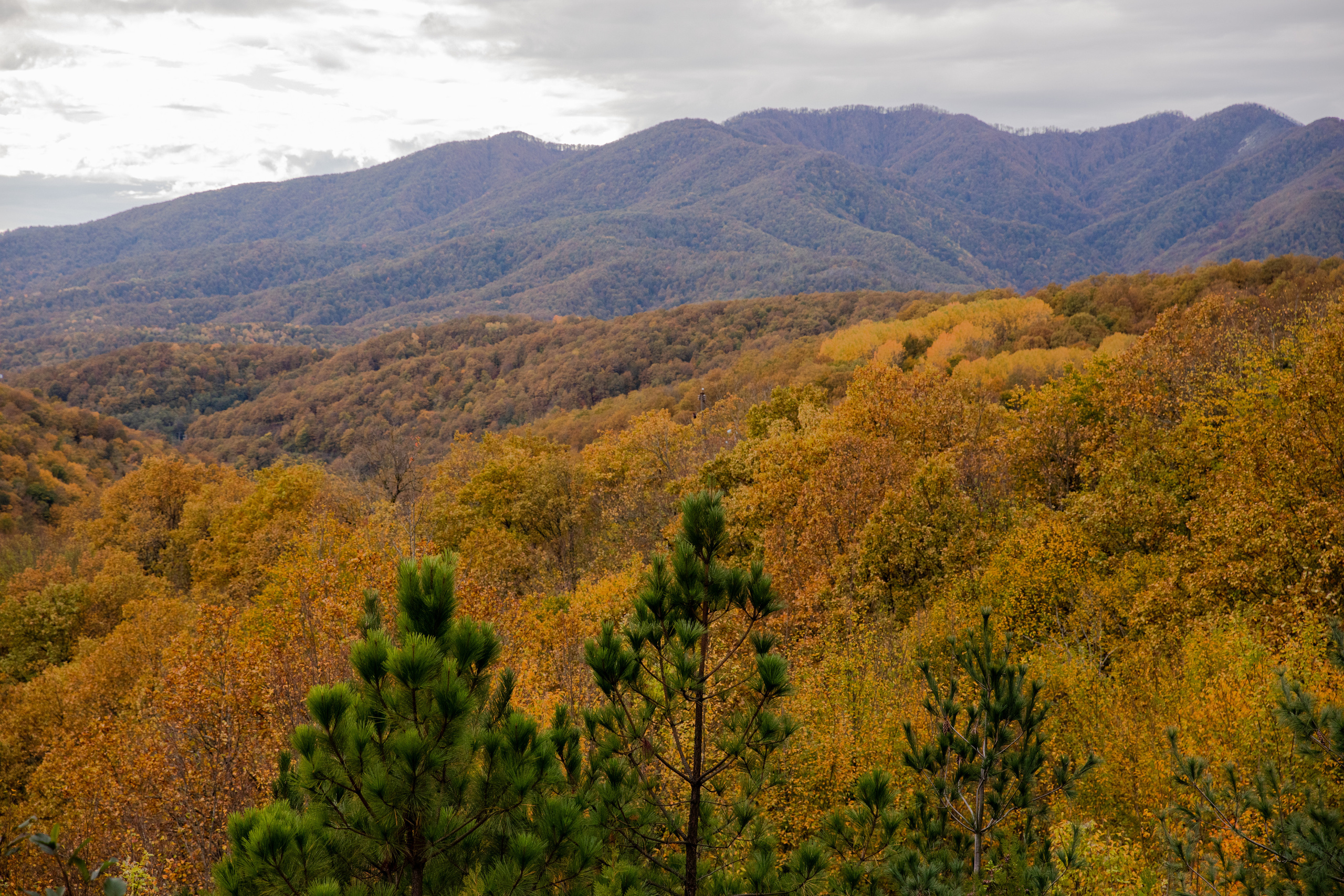 Северный Кавказ Волок. Фотографирую для себя, своей семьи и друзей!