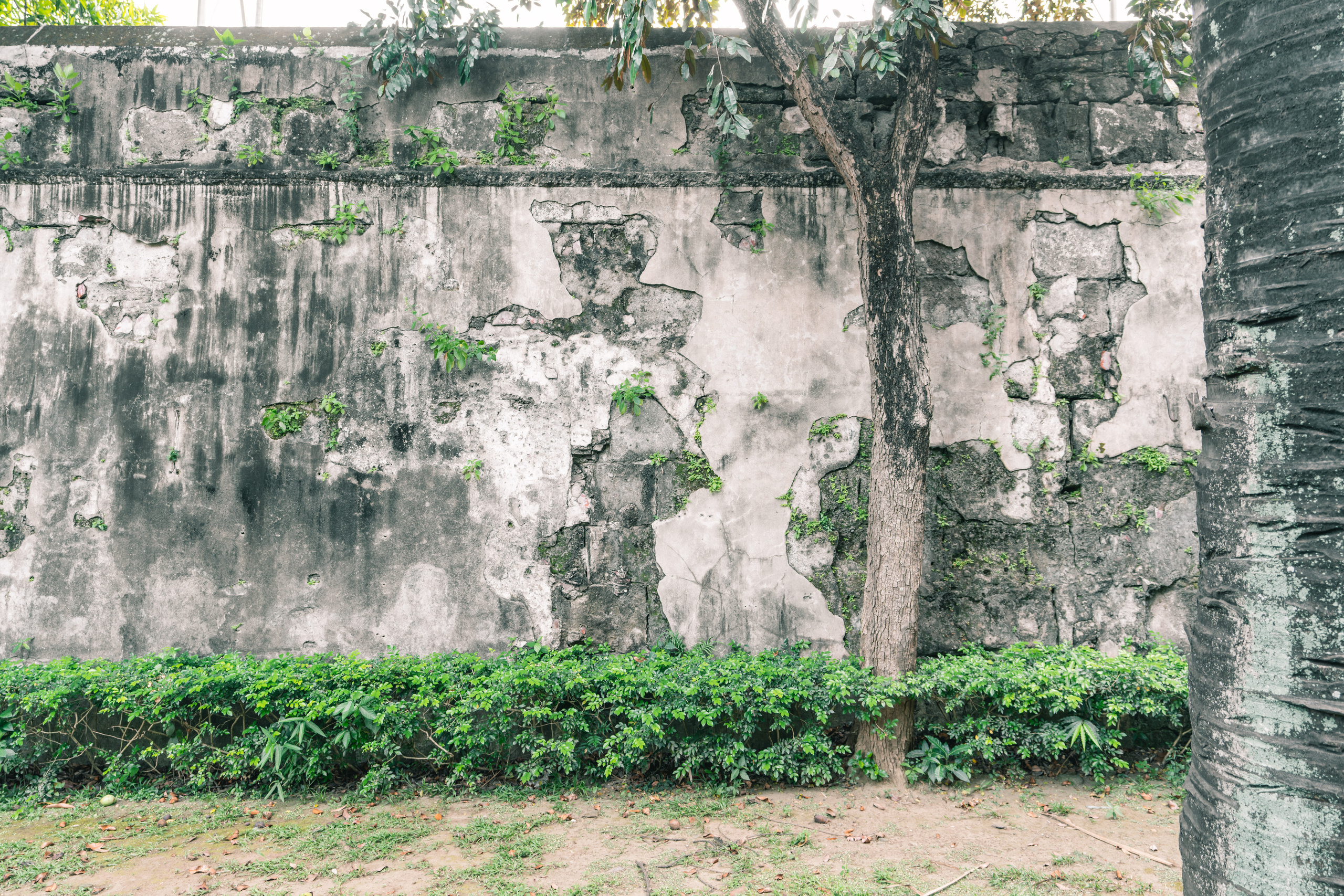 Манила. Фотографирую для себя, своей семьи и друзей!