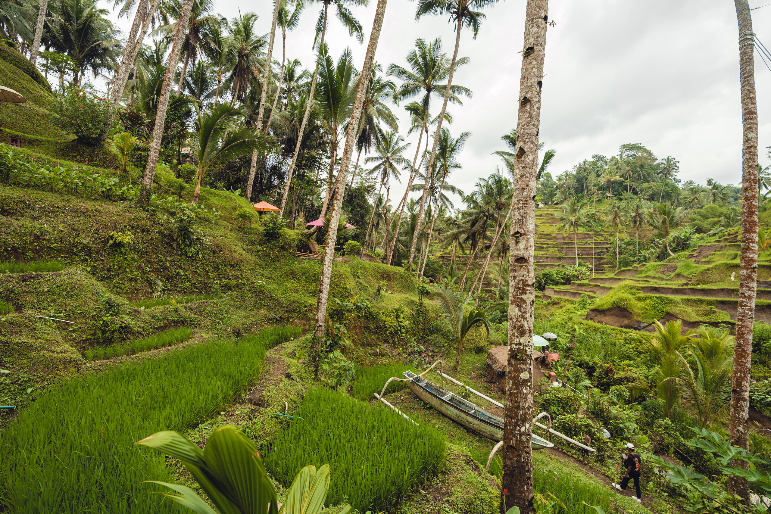 Бали. Фотографирую для себя, своей семьи и друзей!