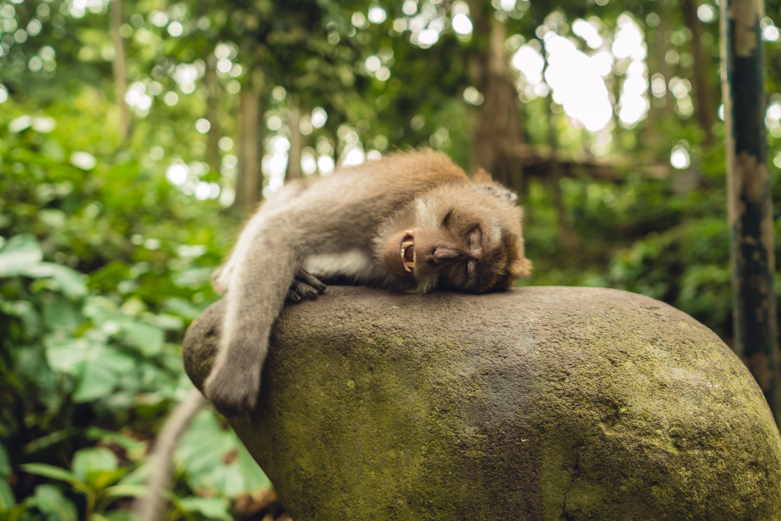 Бали. Фотографирую для себя, своей семьи и друзей!