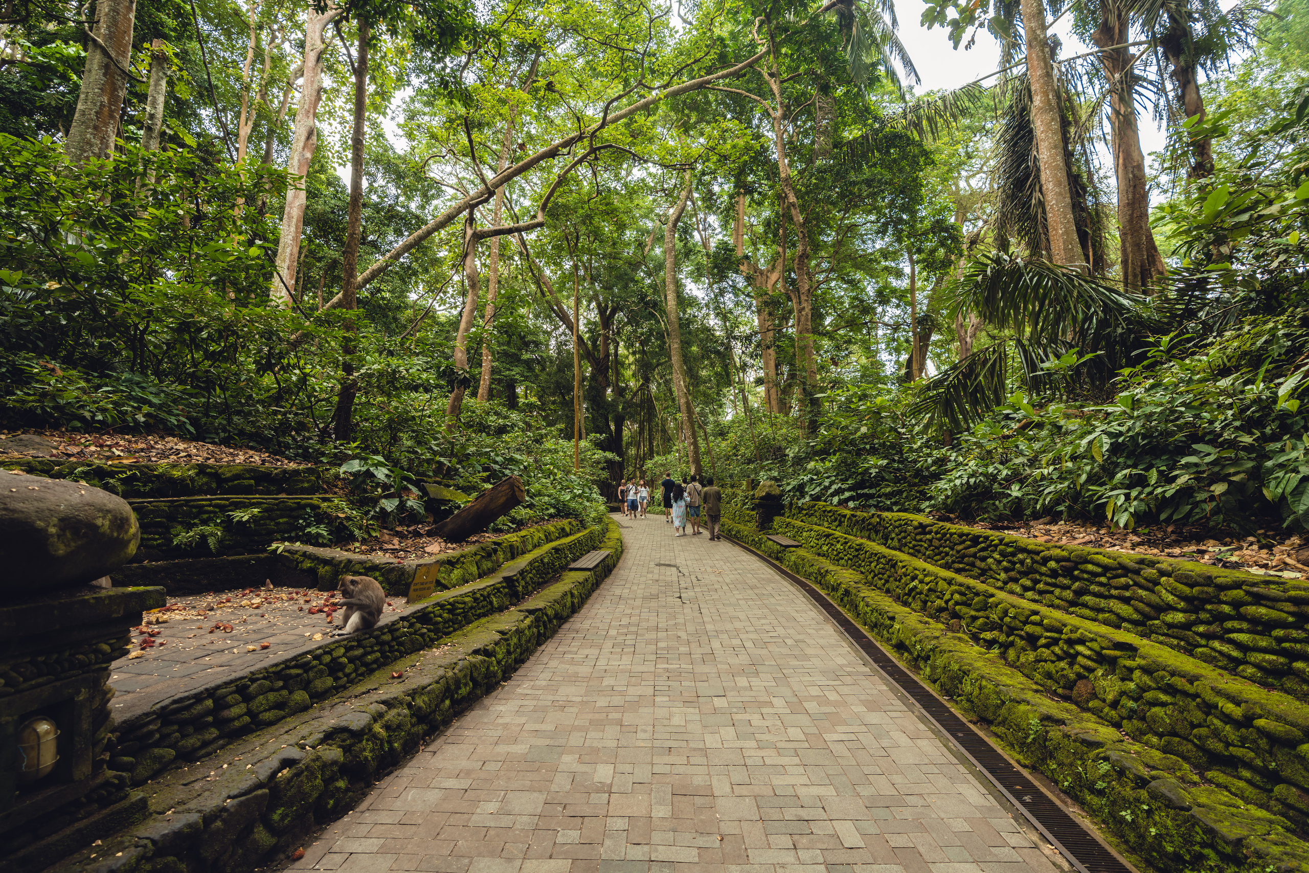 Бали. Фотографирую для себя, своей семьи и друзей!