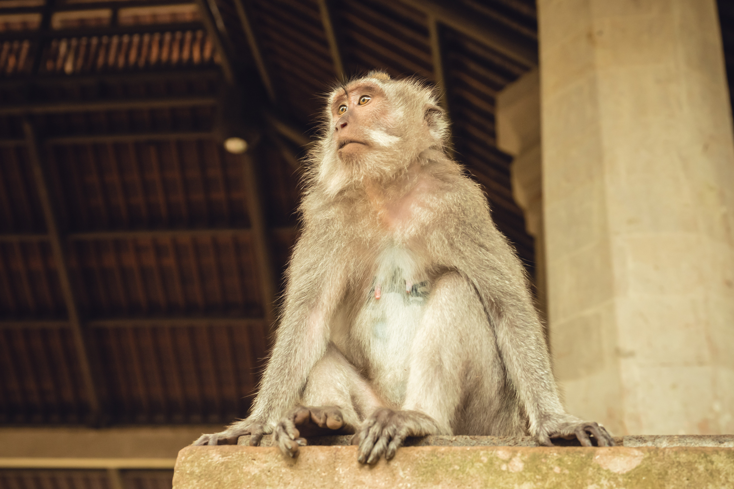 Бали. Фотографирую для себя, своей семьи и друзей!