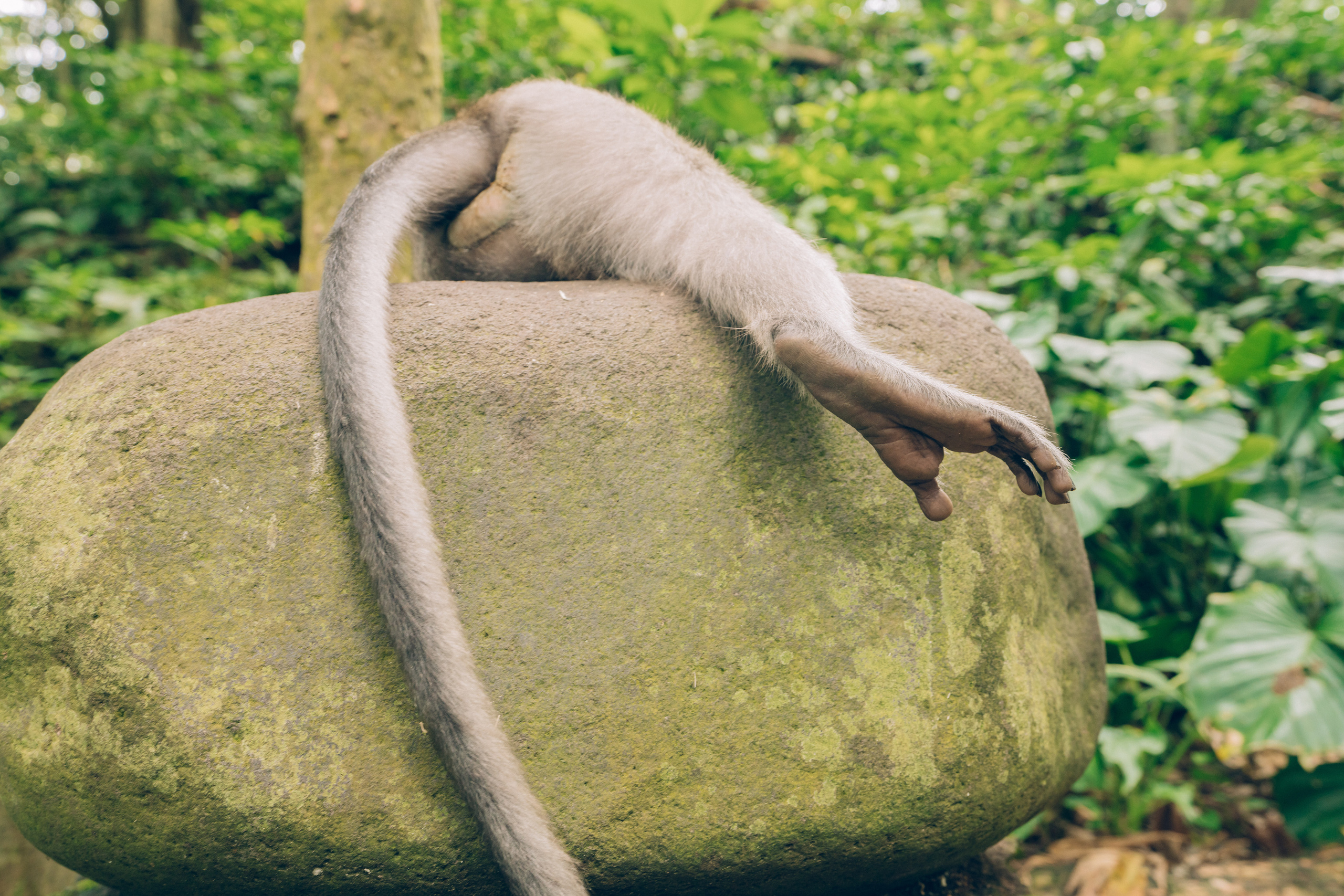 Бали. Фотографирую для себя, своей семьи и друзей!