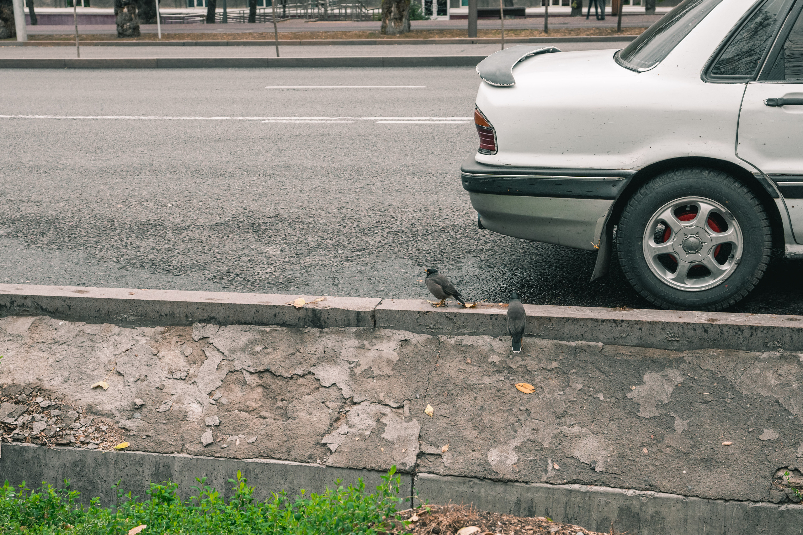 Алматы. Фотографирую для себя, своей семьи и друзей!