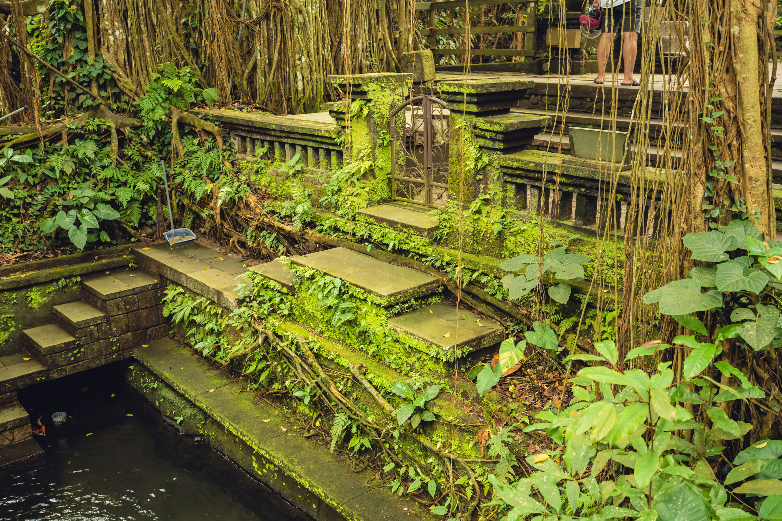 Бали. Фотографирую для себя, своей семьи и друзей!