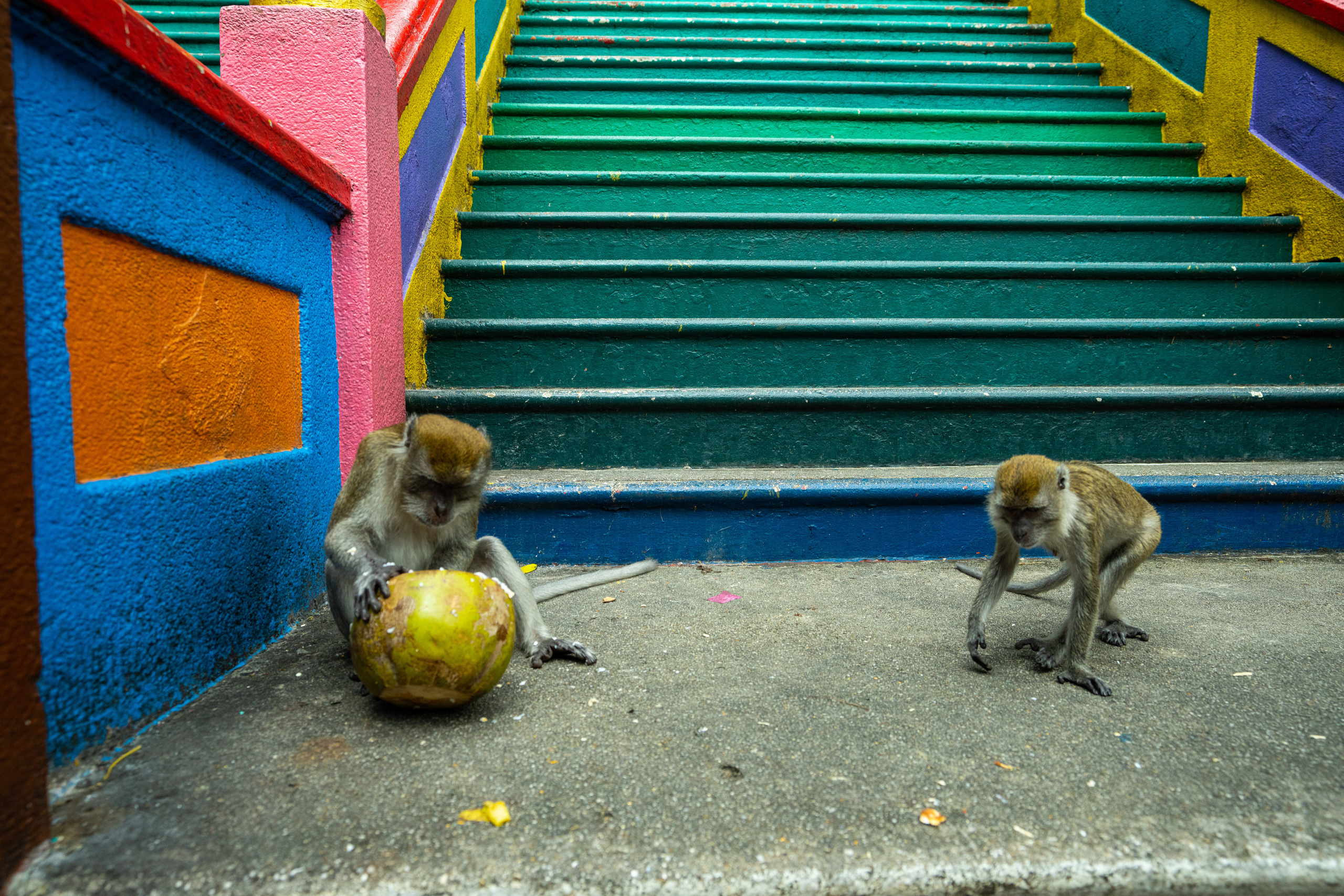 Куала Лумпур. Фотографирую для себя, своей семьи и друзей!
