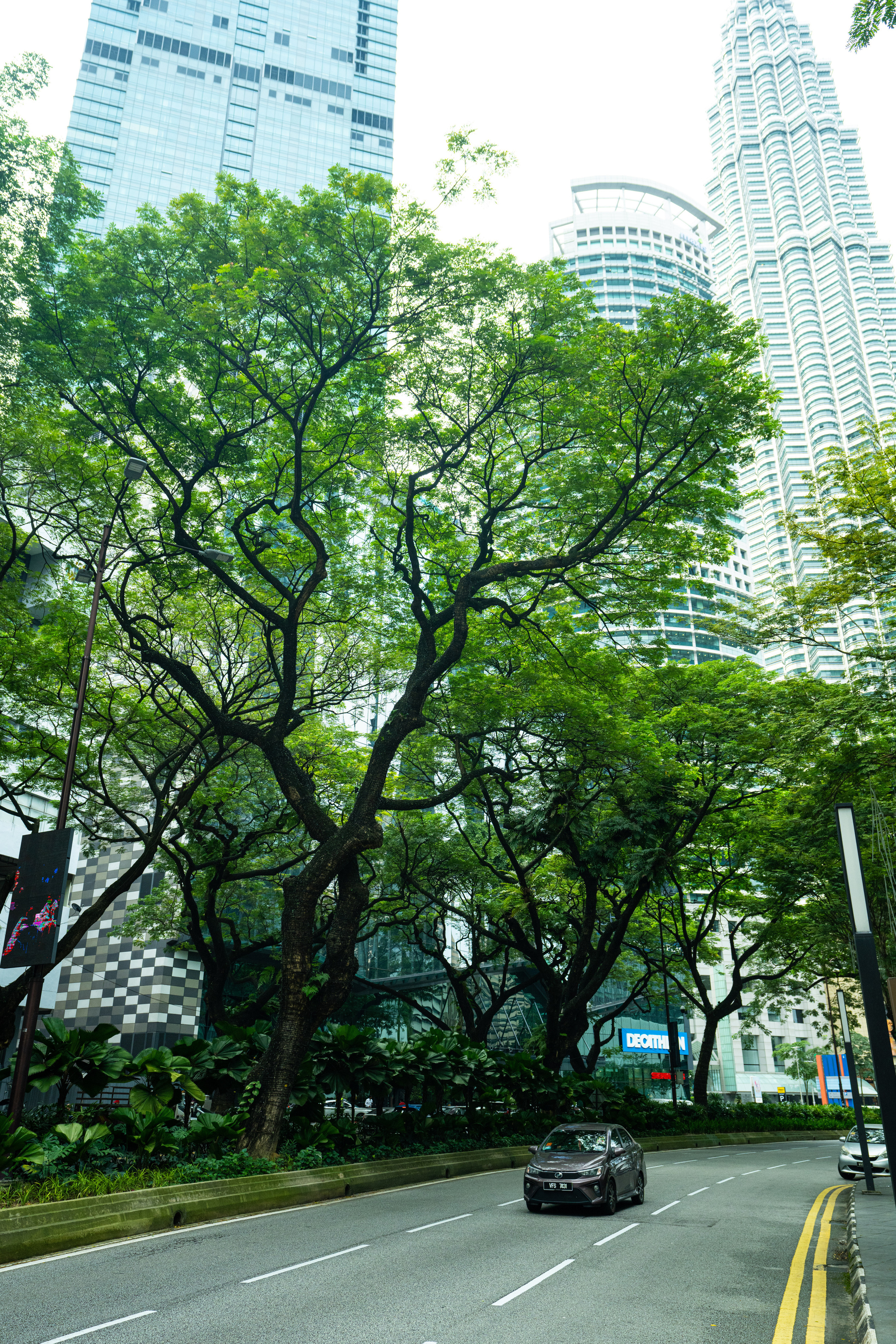 Куала Лумпур. Фотографирую для себя, своей семьи и друзей!