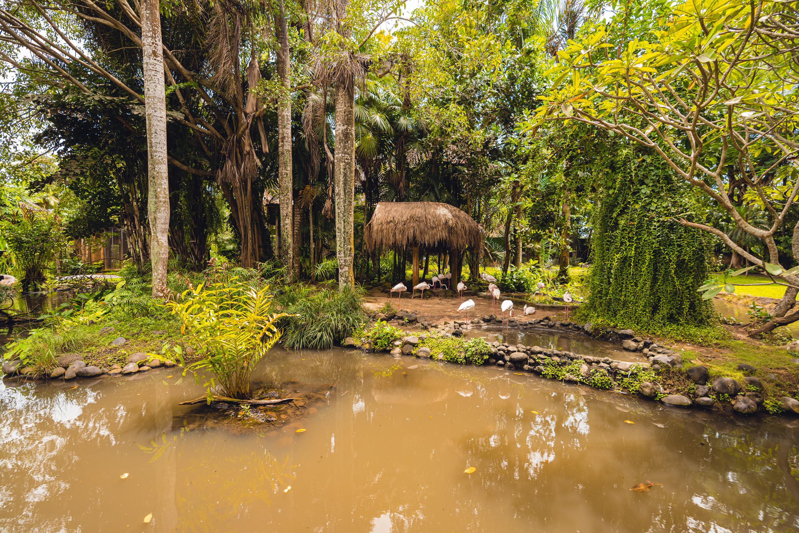 Бали. Фотографирую для себя, своей семьи и друзей!