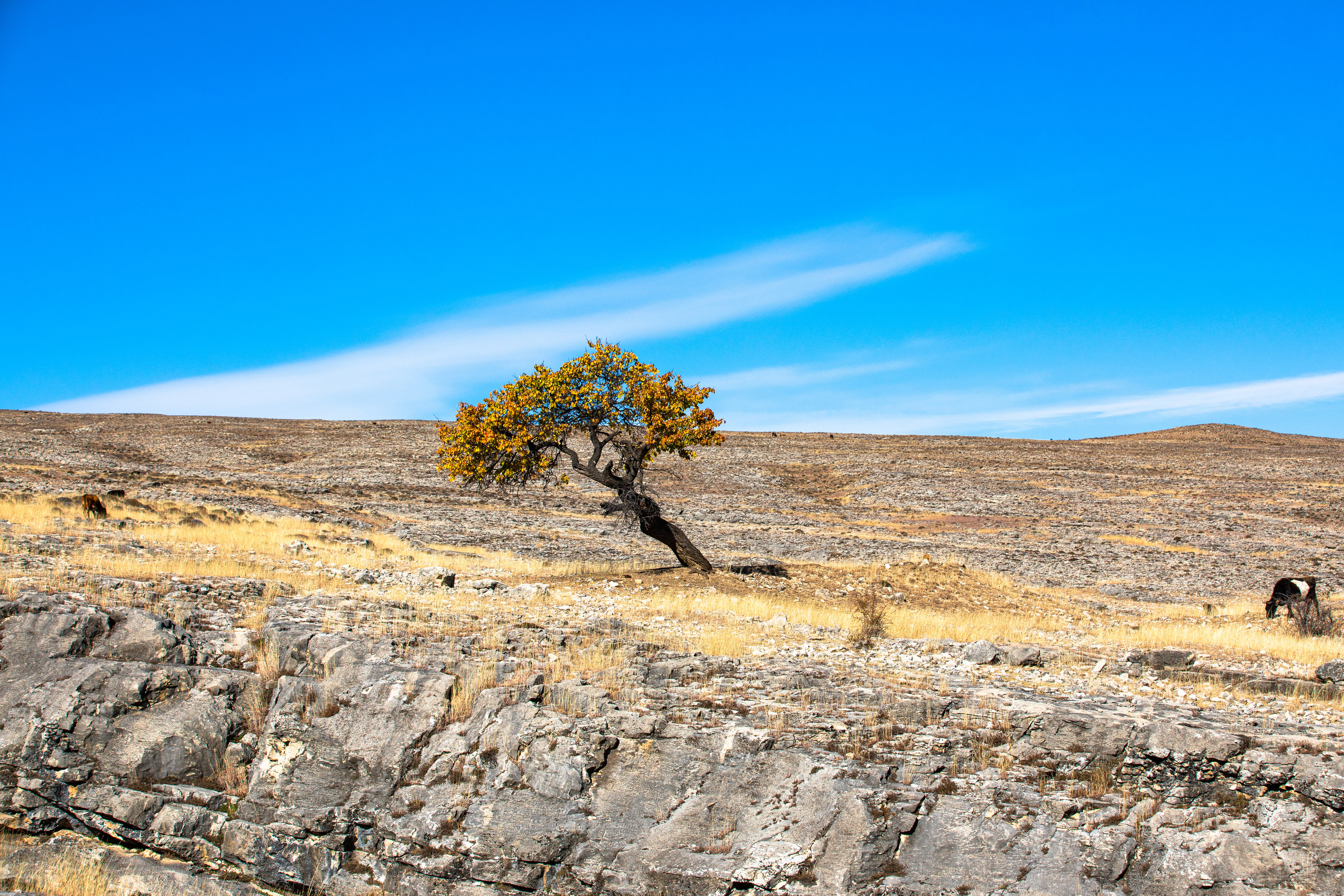 Северный Кавказ Волок. Фотографирую для себя, своей семьи и друзей!