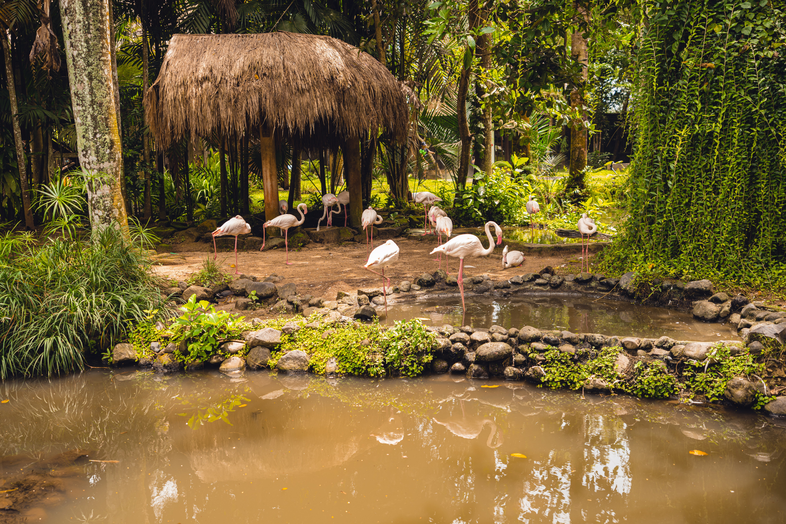 Бали. Фотографирую для себя, своей семьи и друзей!