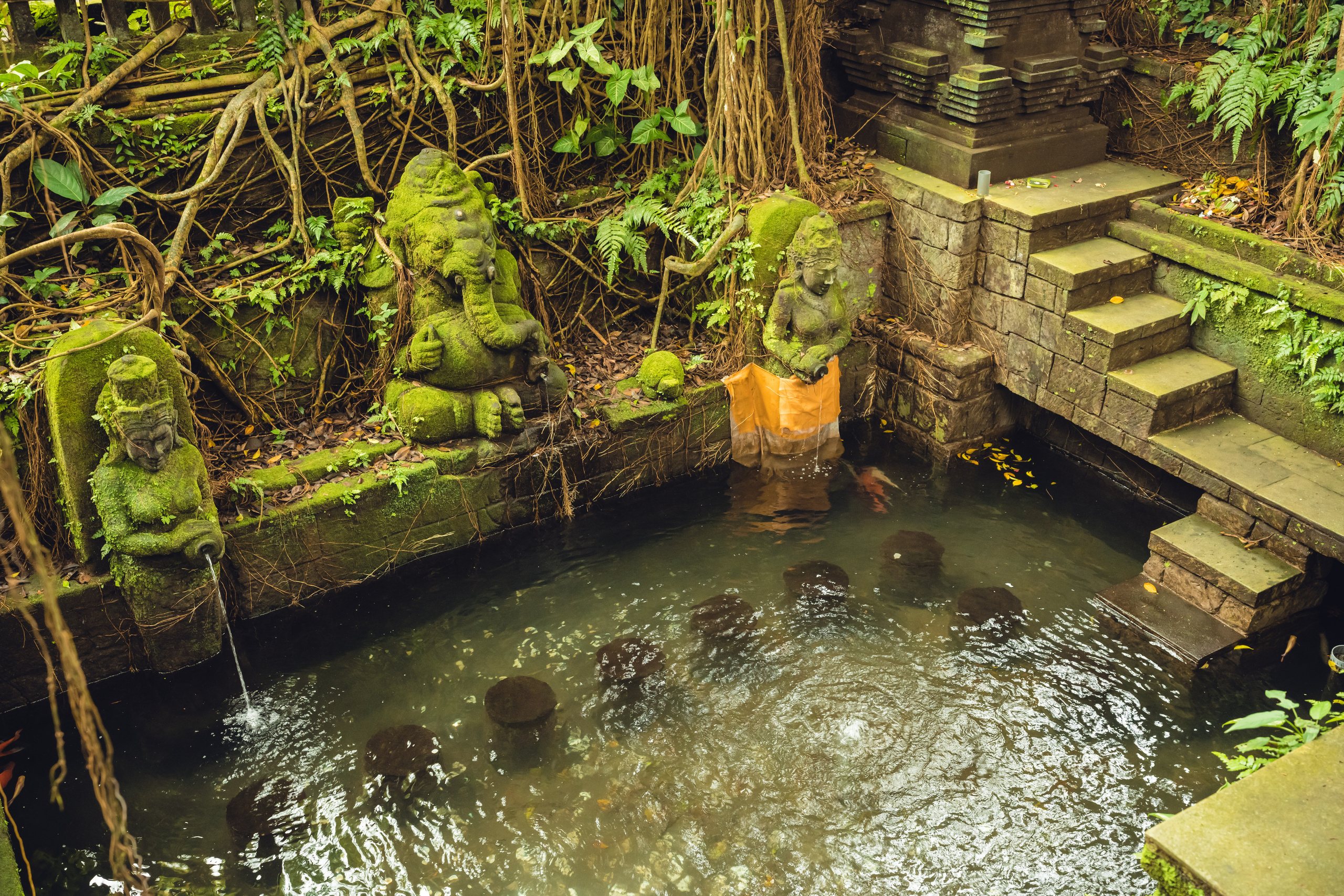 Бали. Фотографирую для себя, своей семьи и друзей!