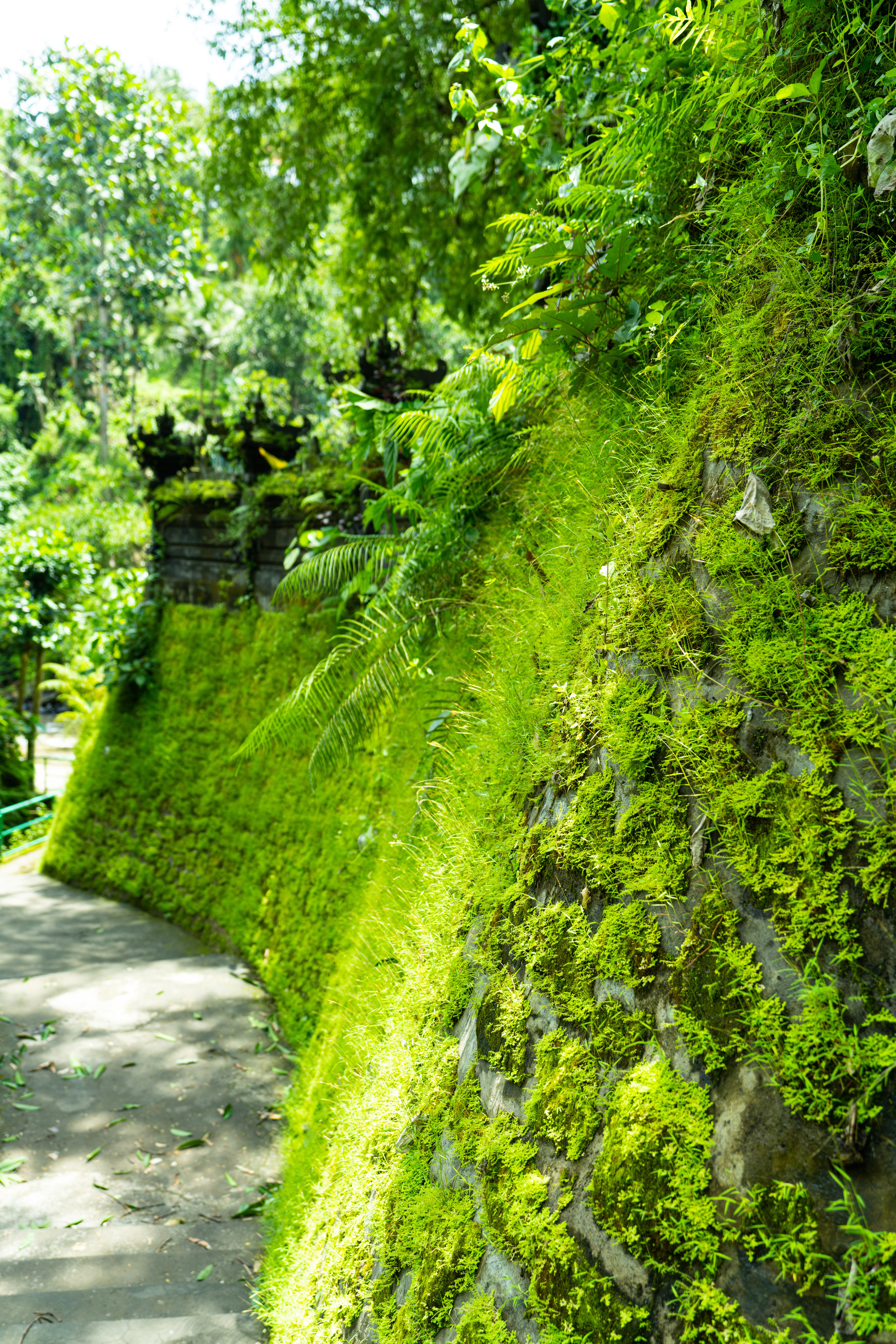 Бали. Фотографирую для себя, своей семьи и друзей!