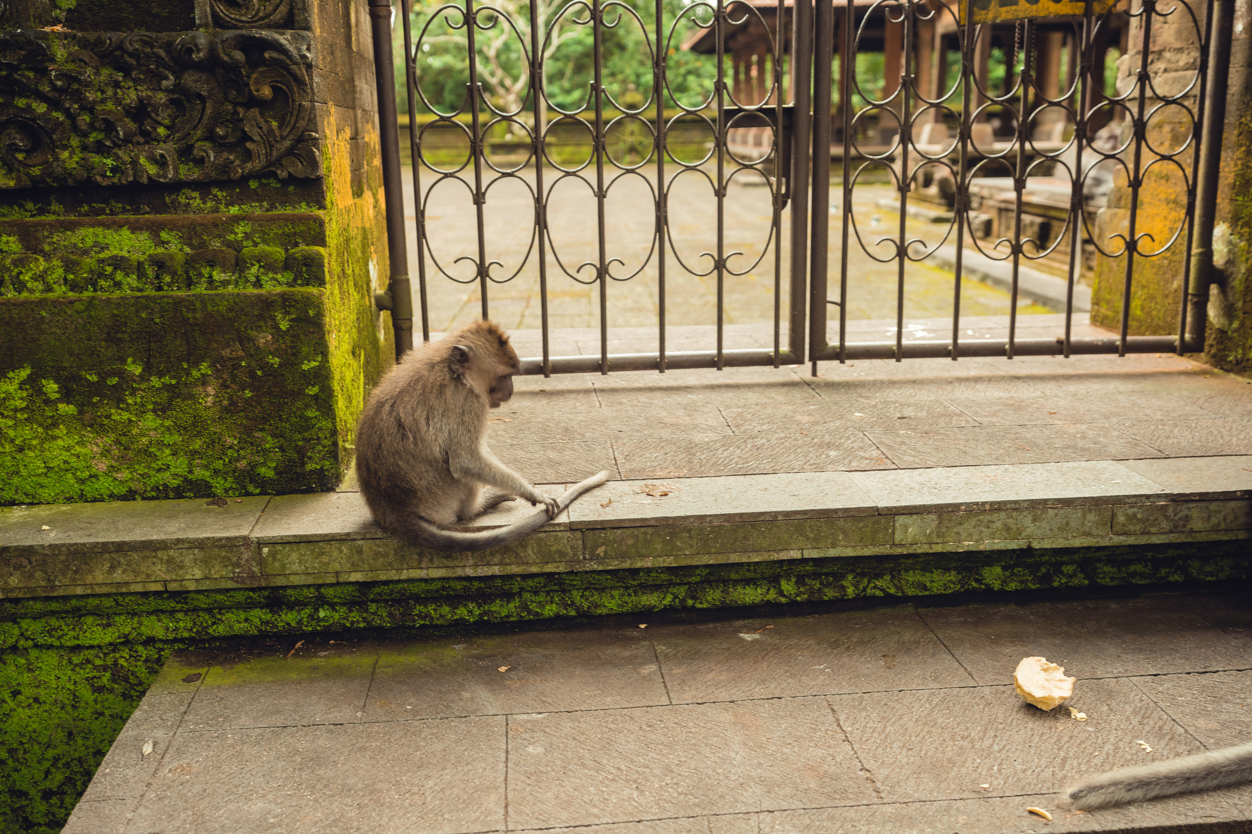 Бали. Фотографирую для себя, своей семьи и друзей!