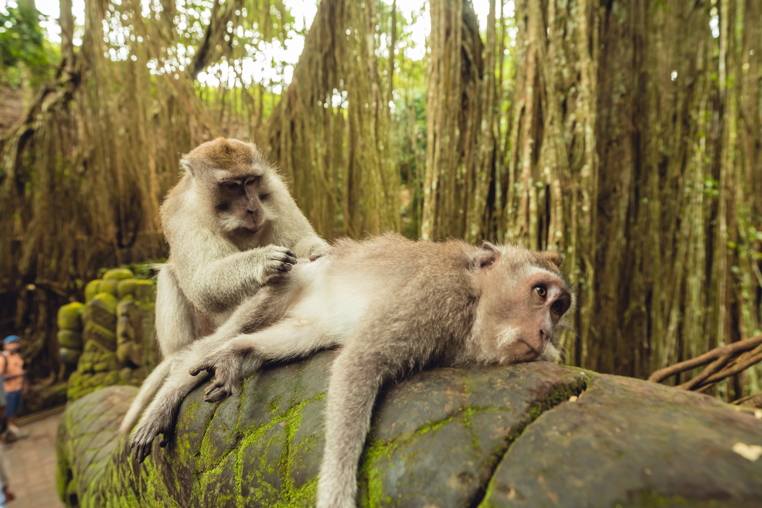 Бали. Фотографирую для себя, своей семьи и друзей!