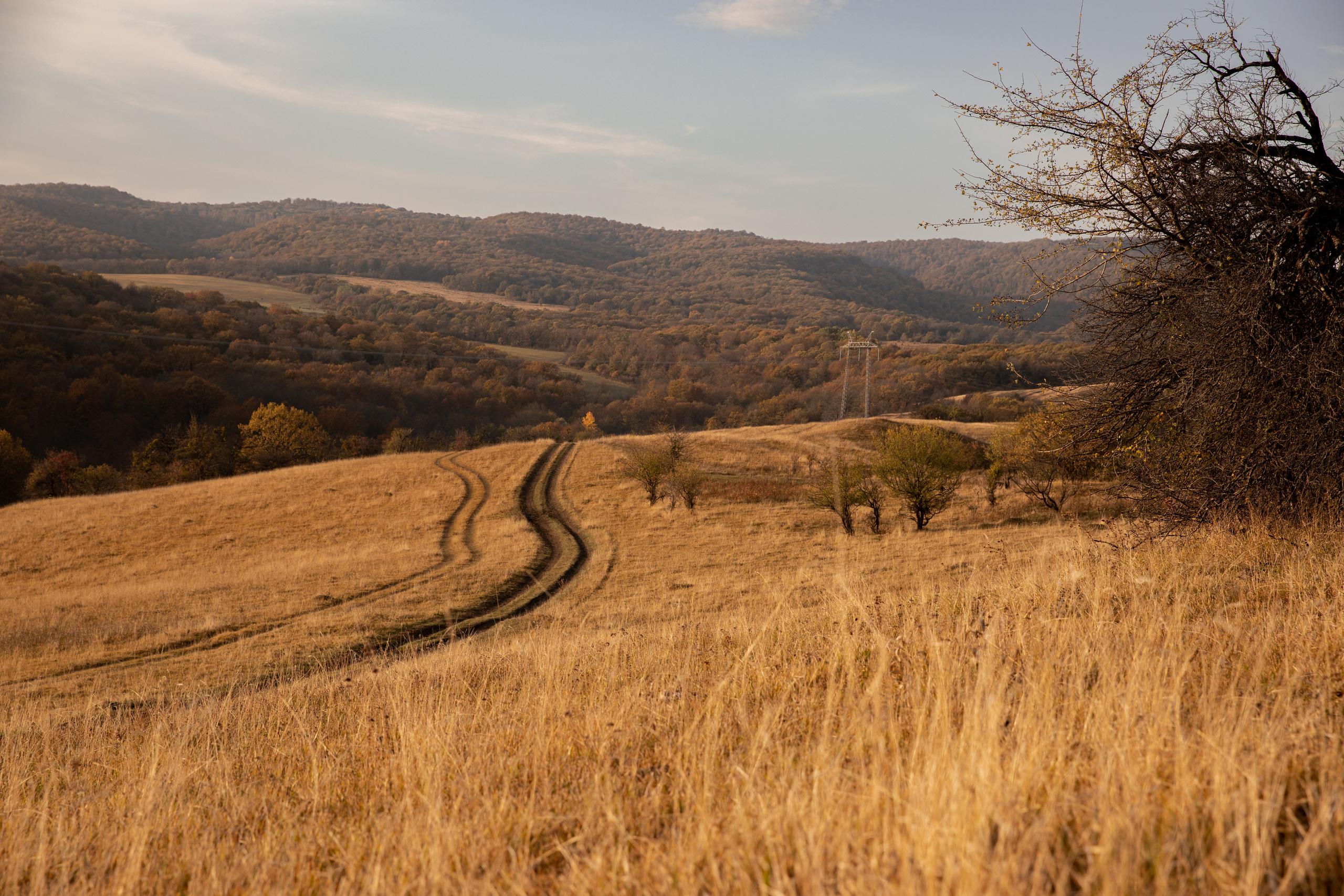 Северный Кавказ Волок. Фотографирую для себя, своей семьи и друзей!
