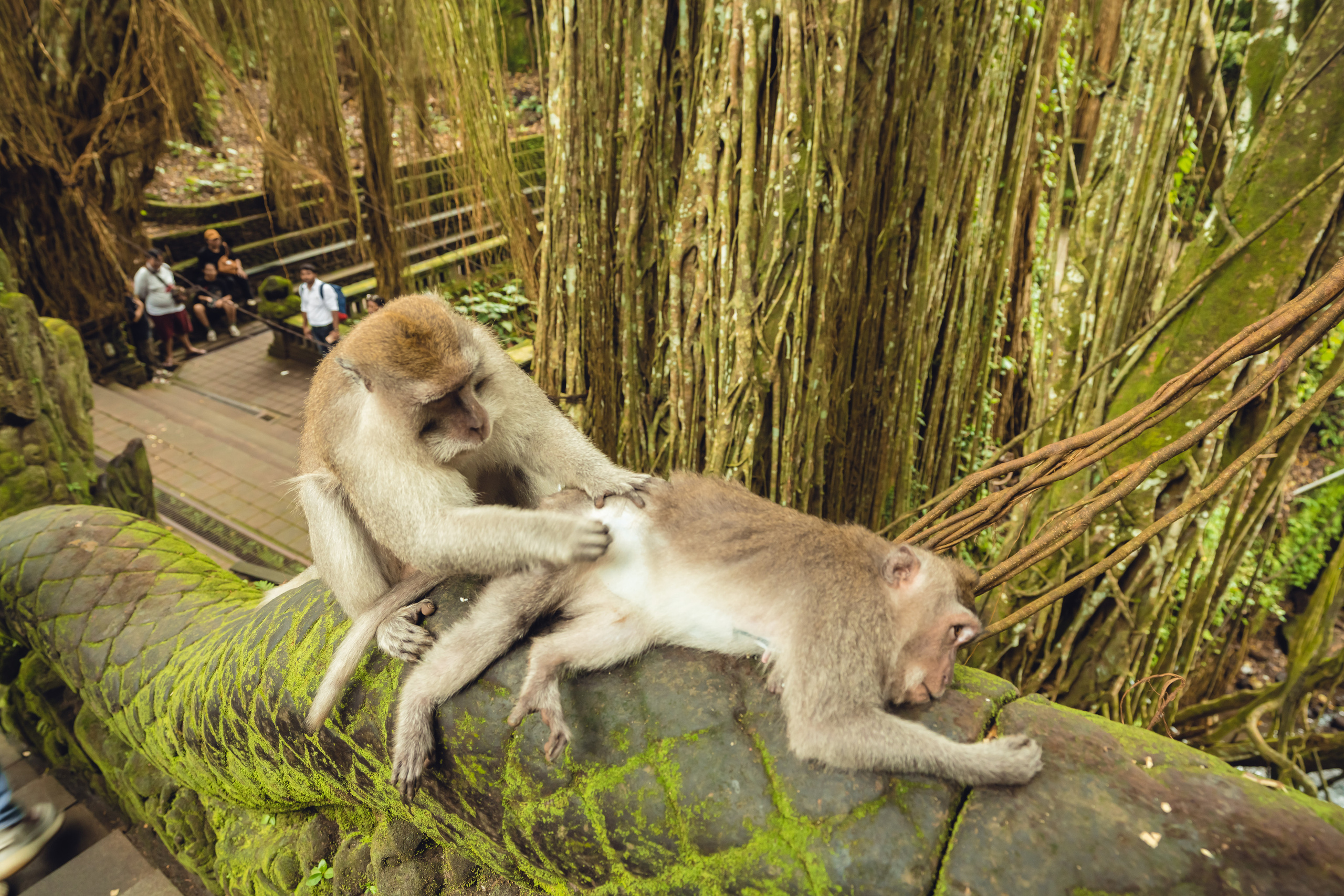 Бали. Фотографирую для себя, своей семьи и друзей!