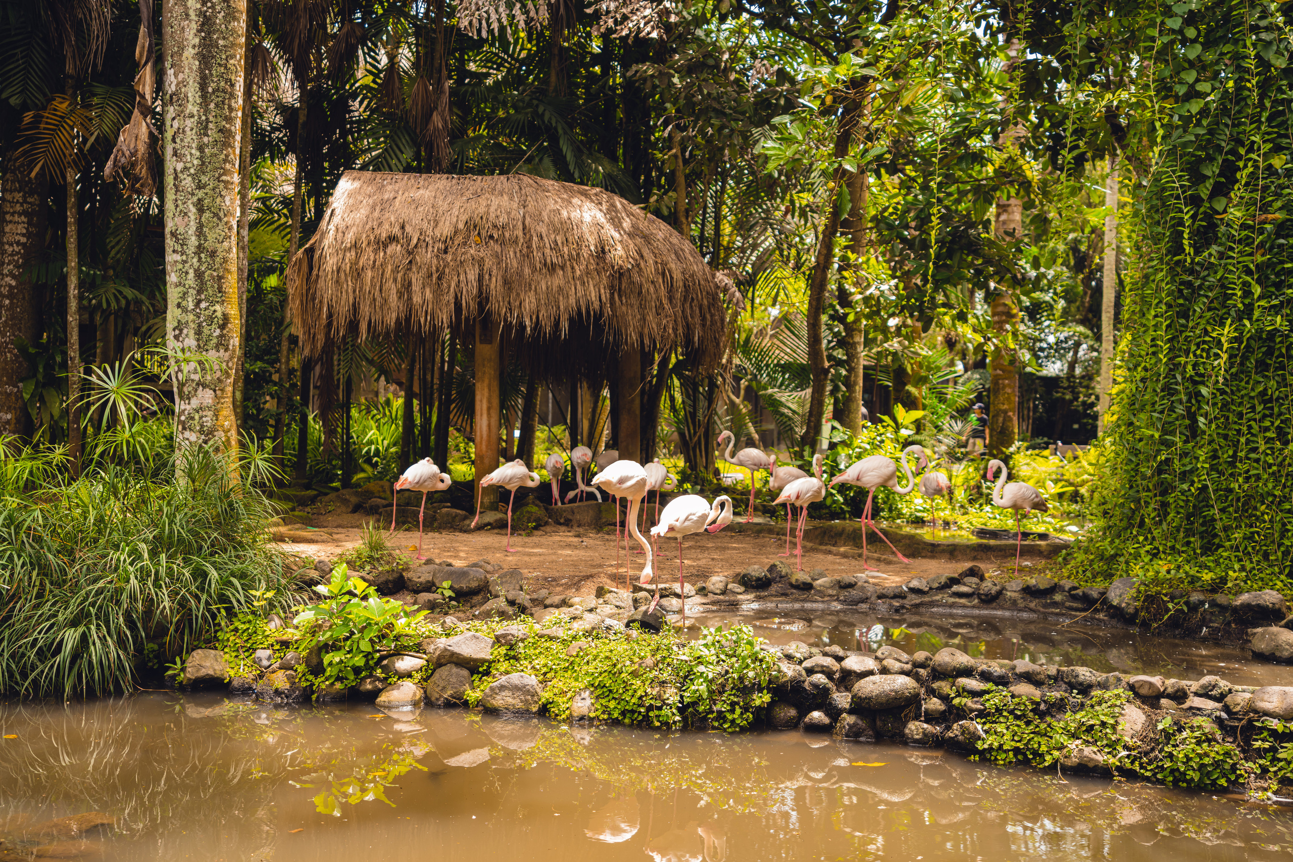 Бали. Фотографирую для себя, своей семьи и друзей!