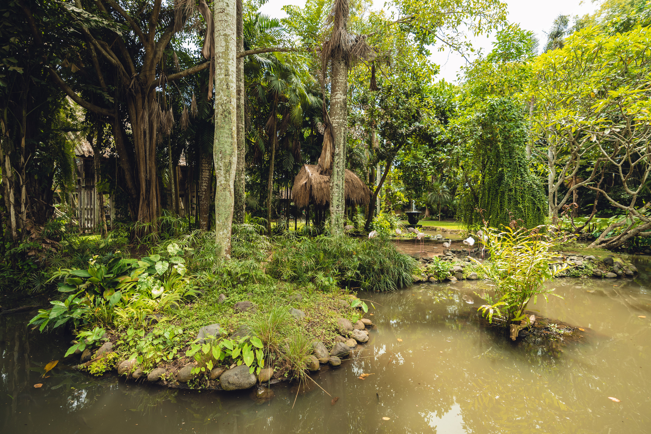 Бали. Фотографирую для себя, своей семьи и друзей!
