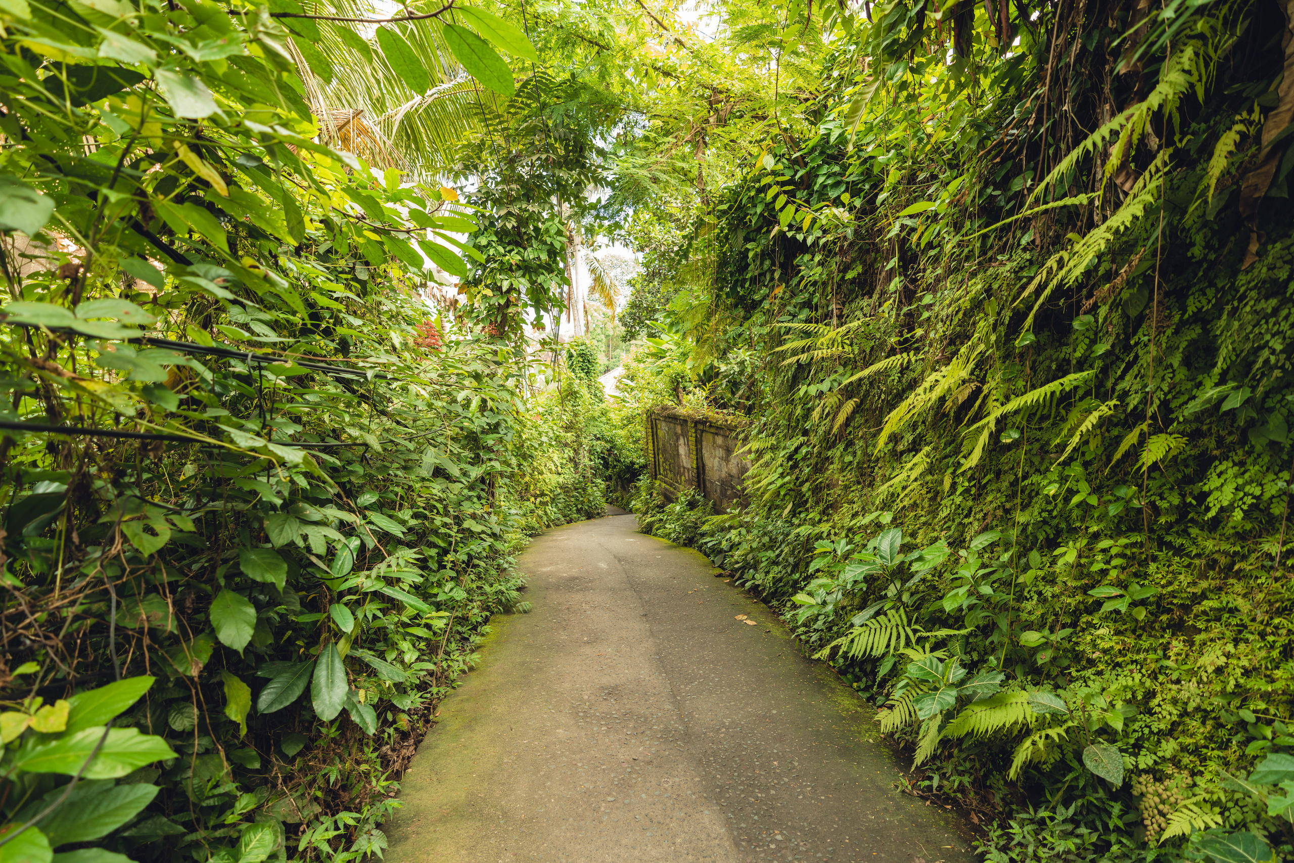 Бали. Фотографирую для себя, своей семьи и друзей!