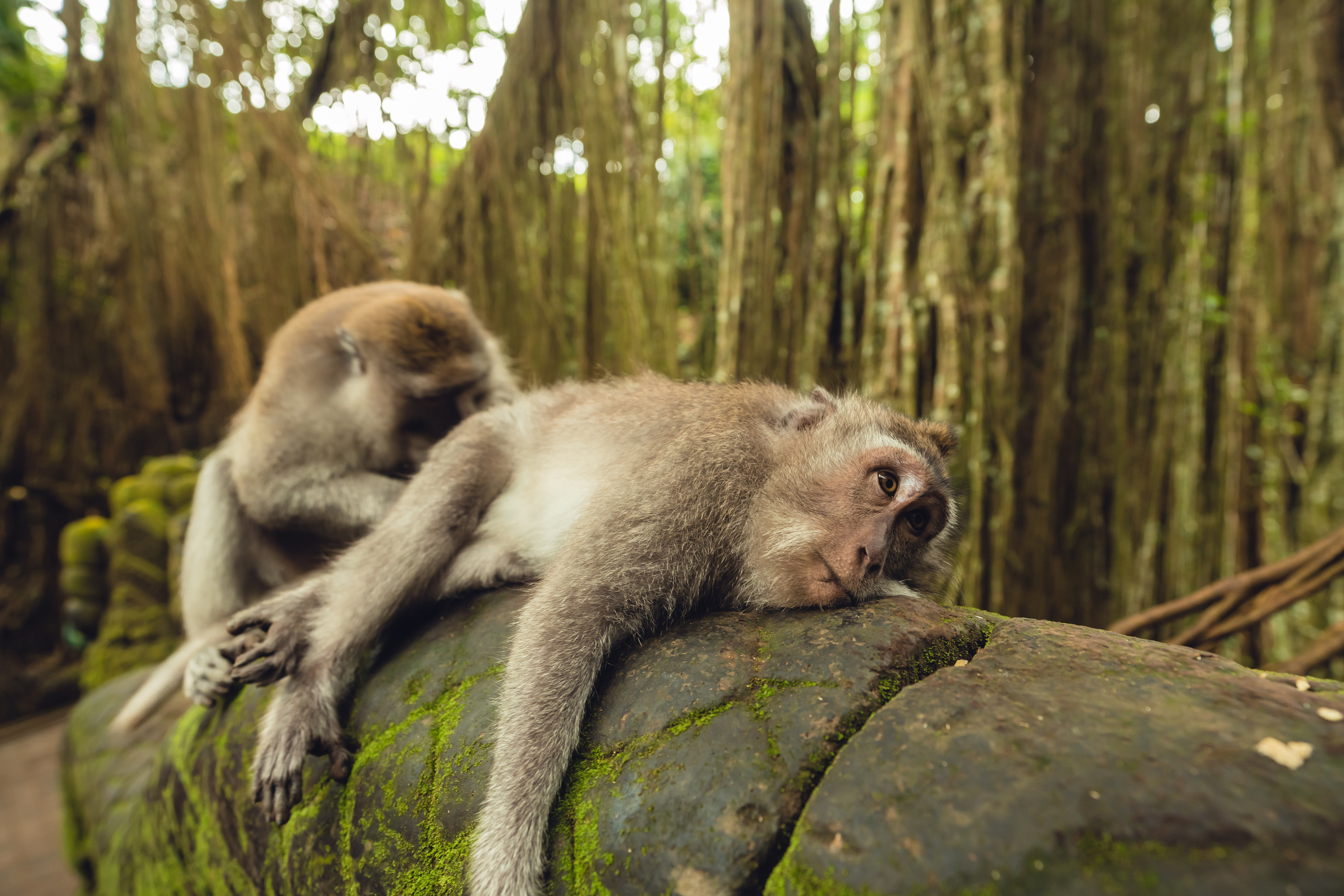 Бали. Фотографирую для себя, своей семьи и друзей!