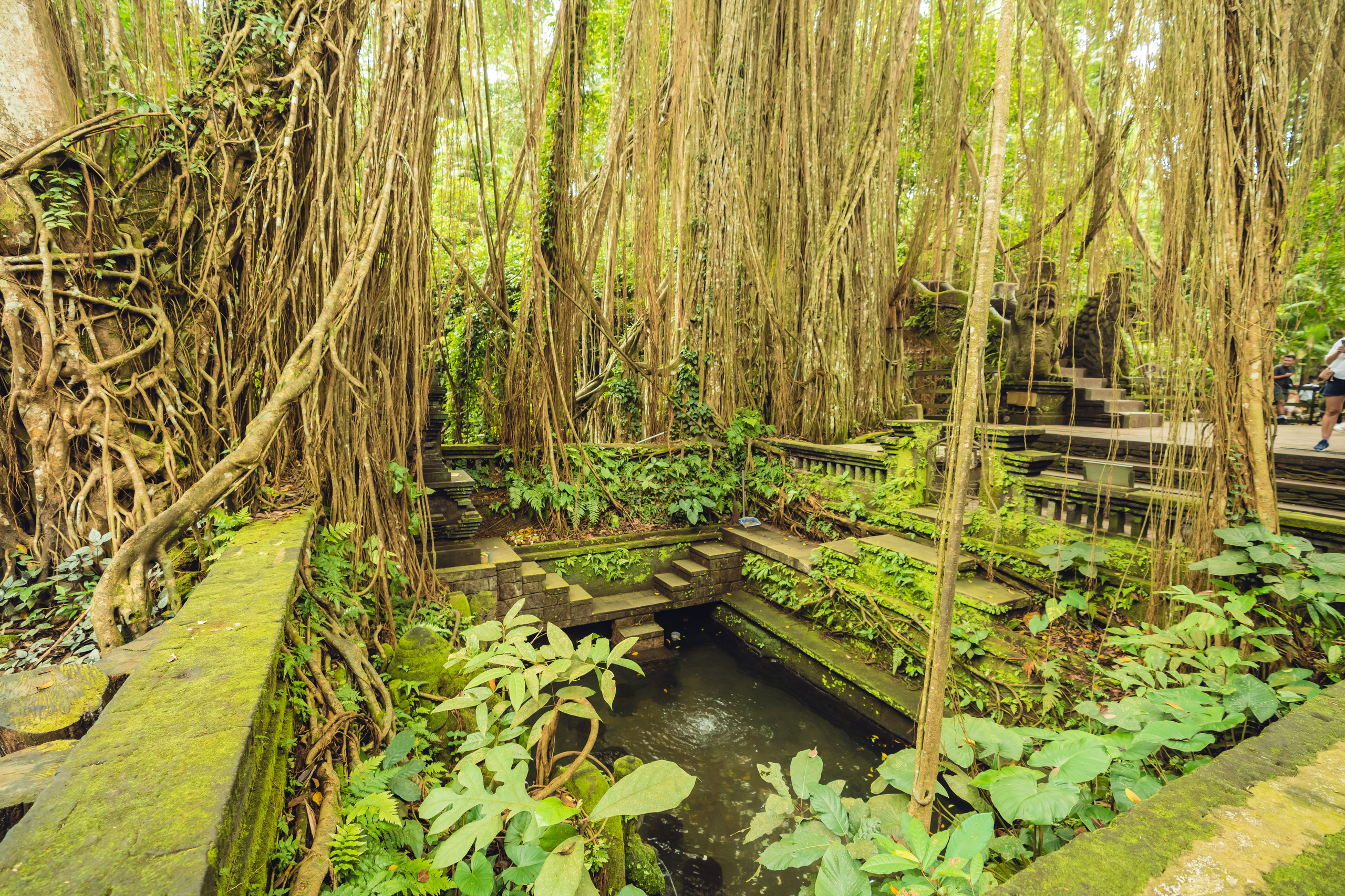 Бали. Фотографирую для себя, своей семьи и друзей!