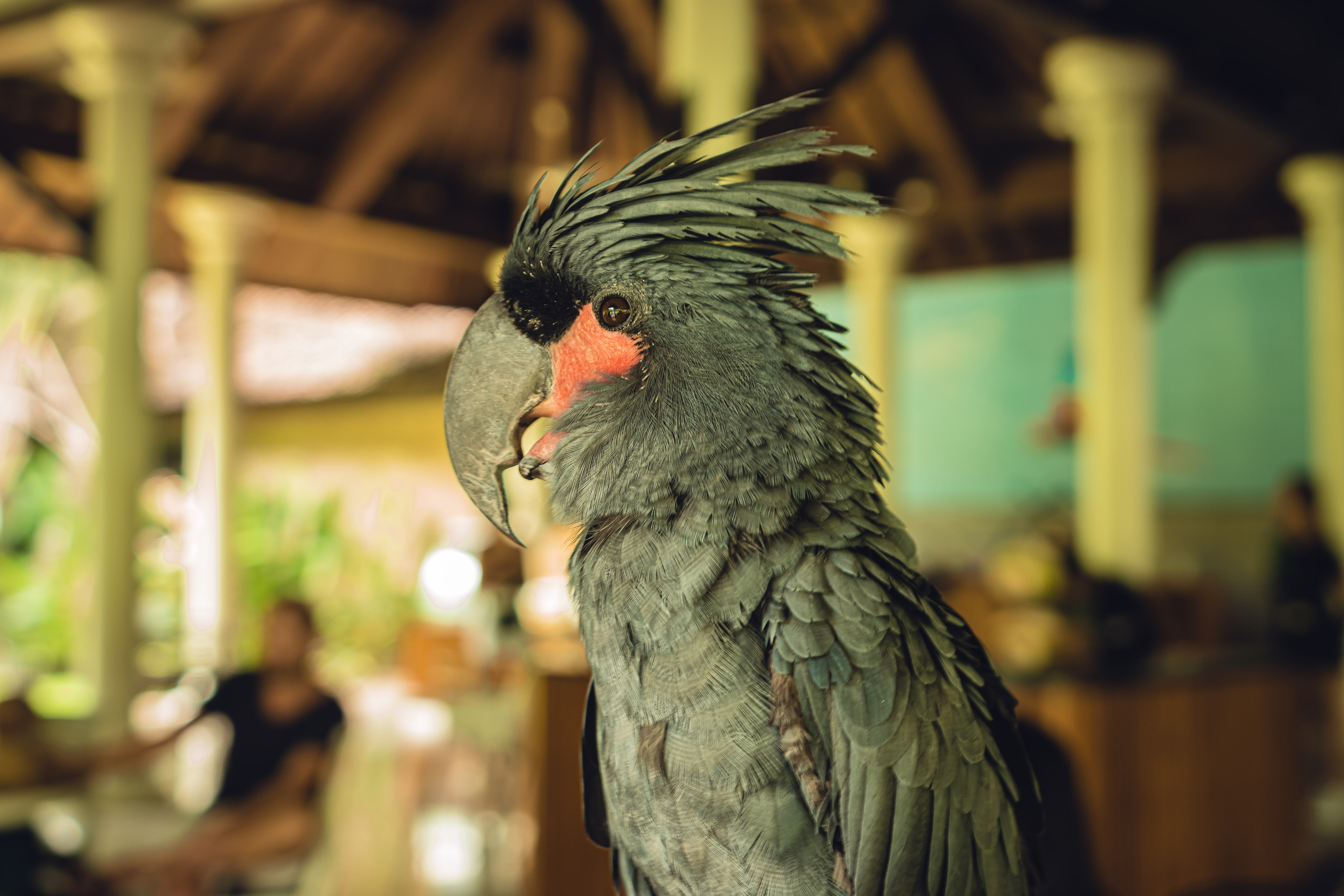 Бали. Фотографирую для себя, своей семьи и друзей!