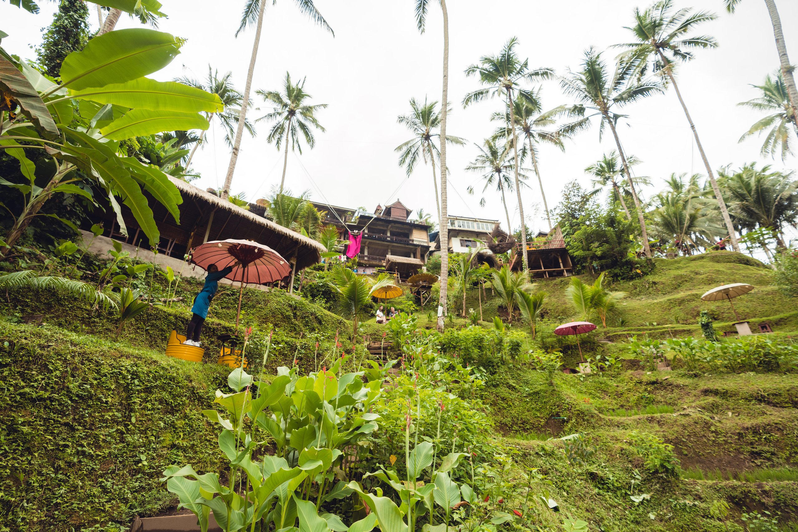 Бали. Фотографирую для себя, своей семьи и друзей!
