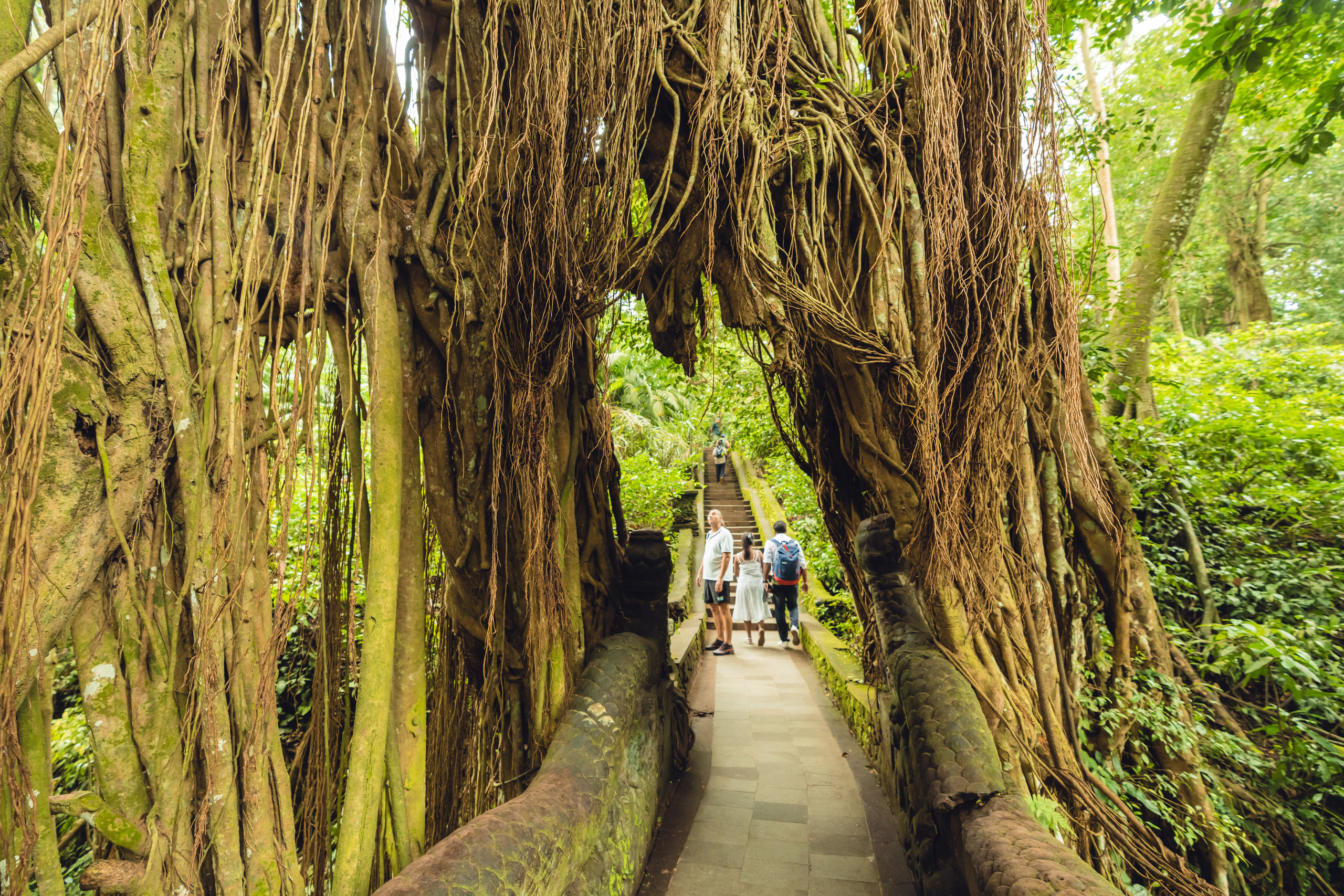 Бали. Фотографирую для себя, своей семьи и друзей!
