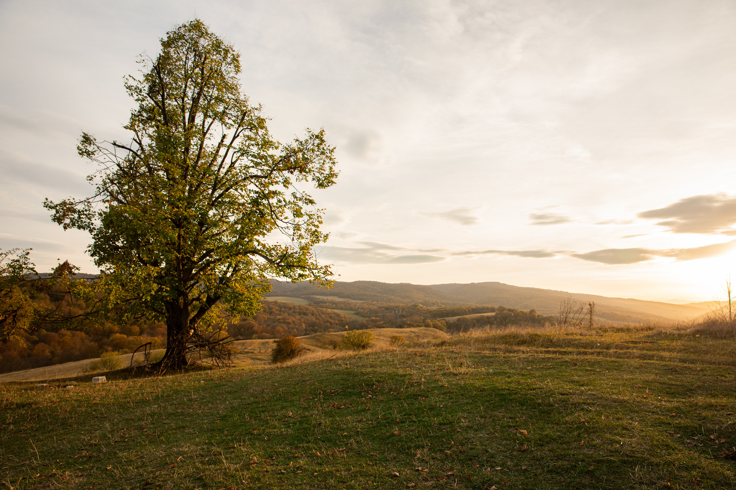 Северный Кавказ Волок. Фотографирую для себя, своей семьи и друзей!