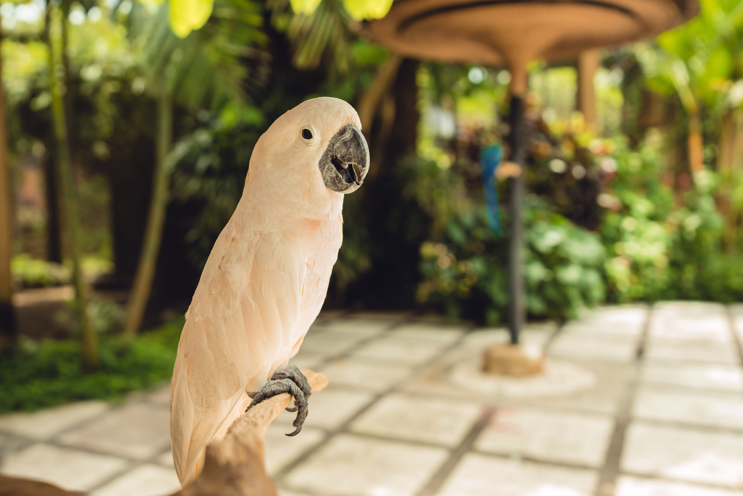 Бали. Фотографирую для себя, своей семьи и друзей!