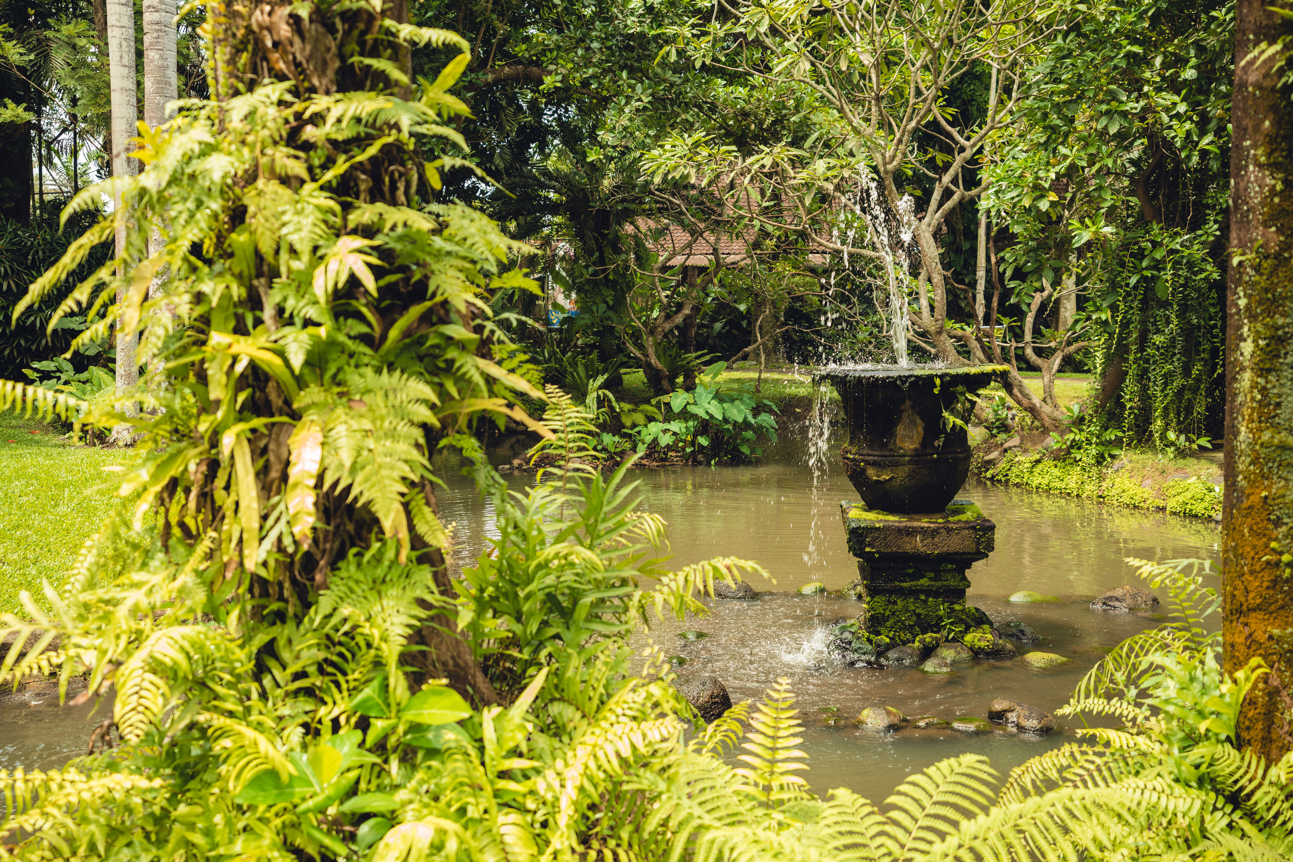 Бали. Фотографирую для себя, своей семьи и друзей!