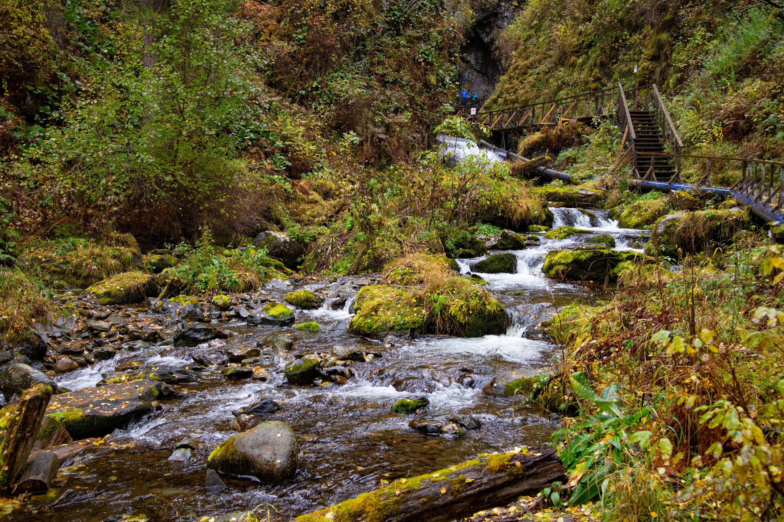 Алтай. Фотографирую для себя, своей семьи и друзей!