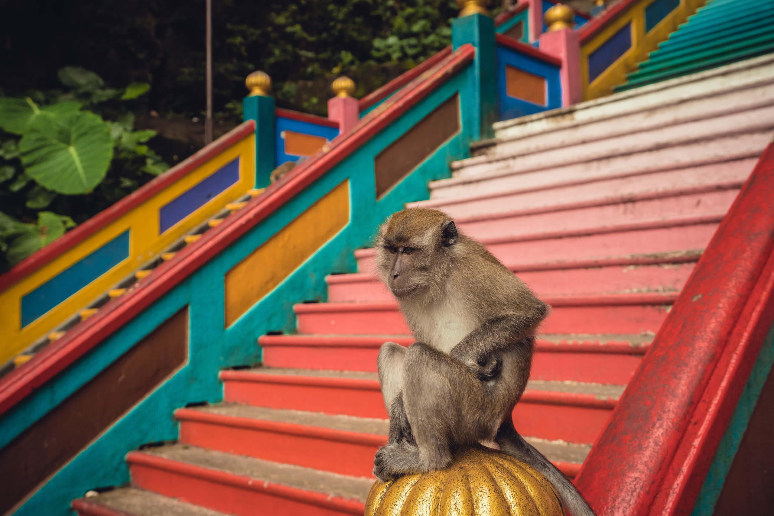 Куала Лумпур. Фотографирую для себя, своей семьи и друзей!