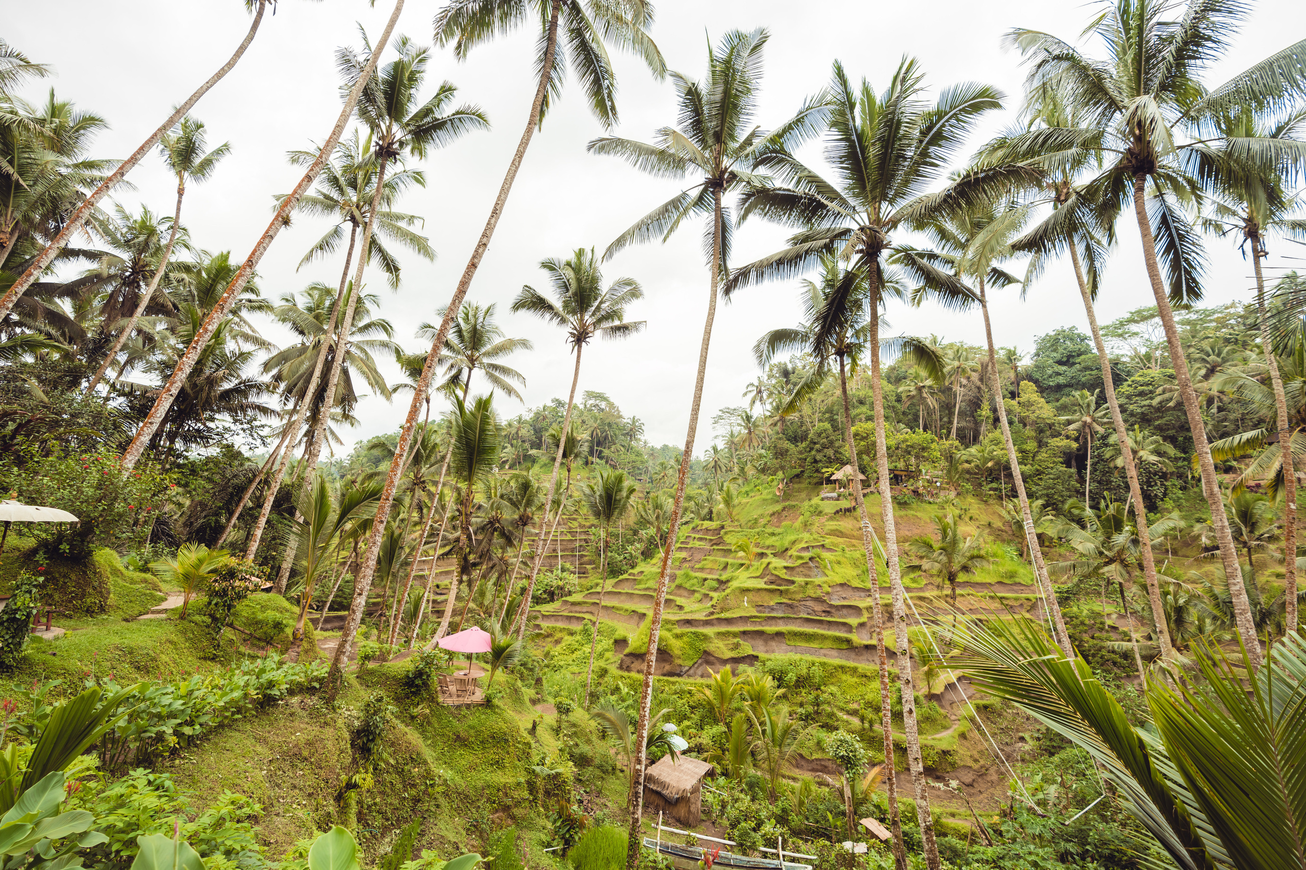 Бали. Фотографирую для себя, своей семьи и друзей!