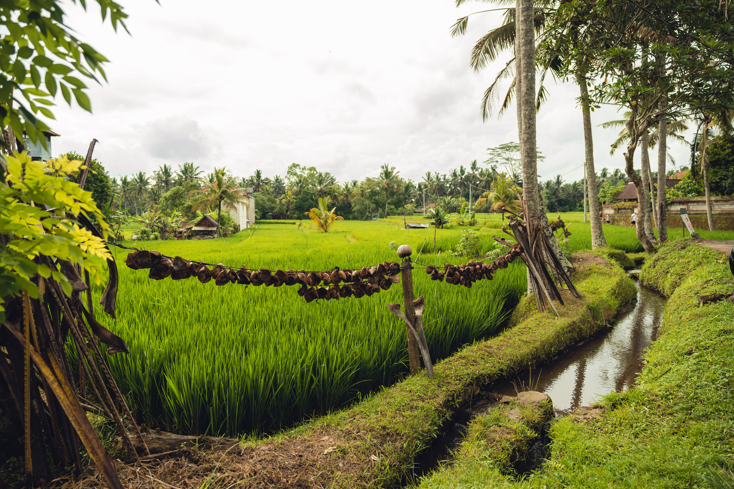 Бали. Фотографирую для себя, своей семьи и друзей!