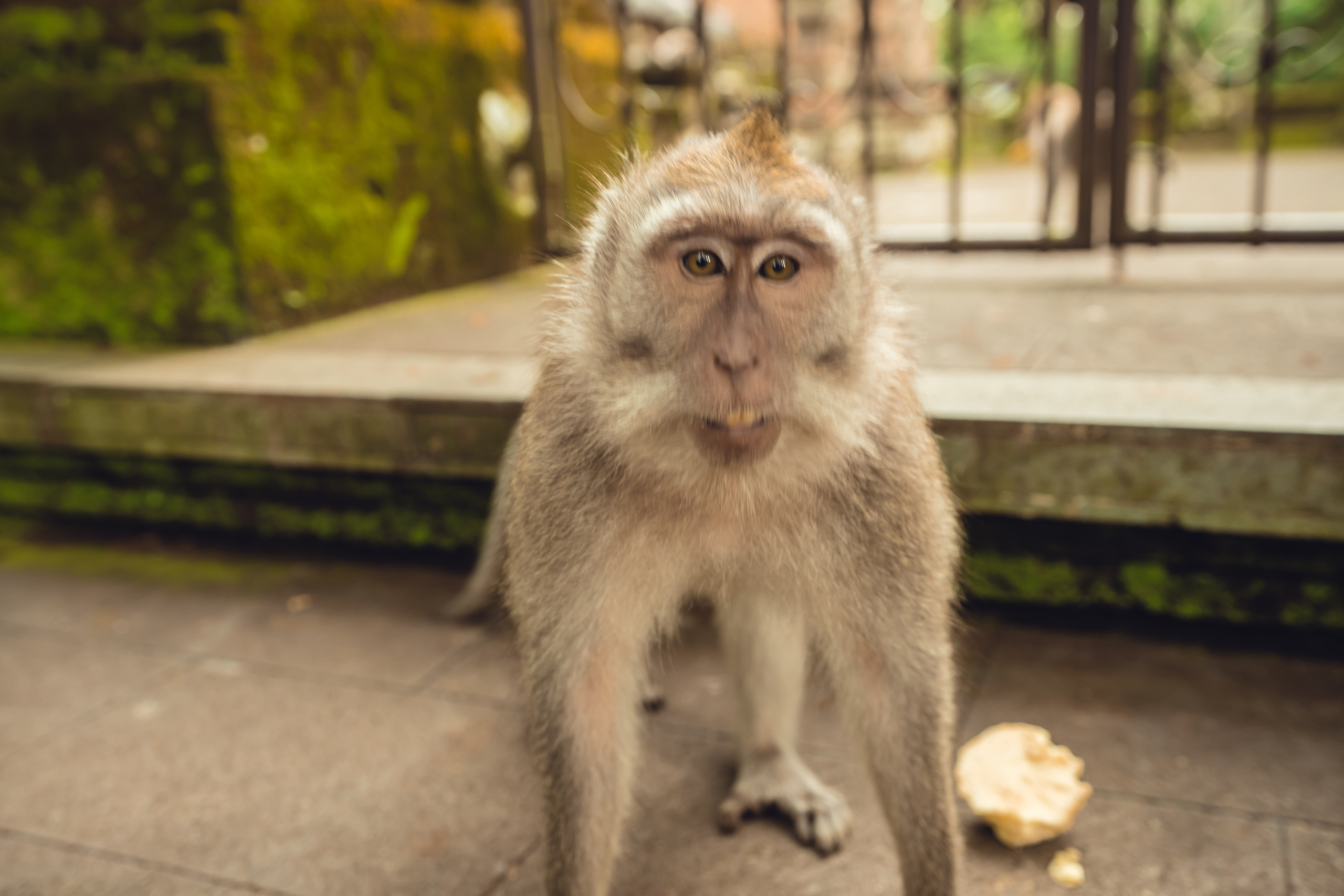 Бали. Фотографирую для себя, своей семьи и друзей!