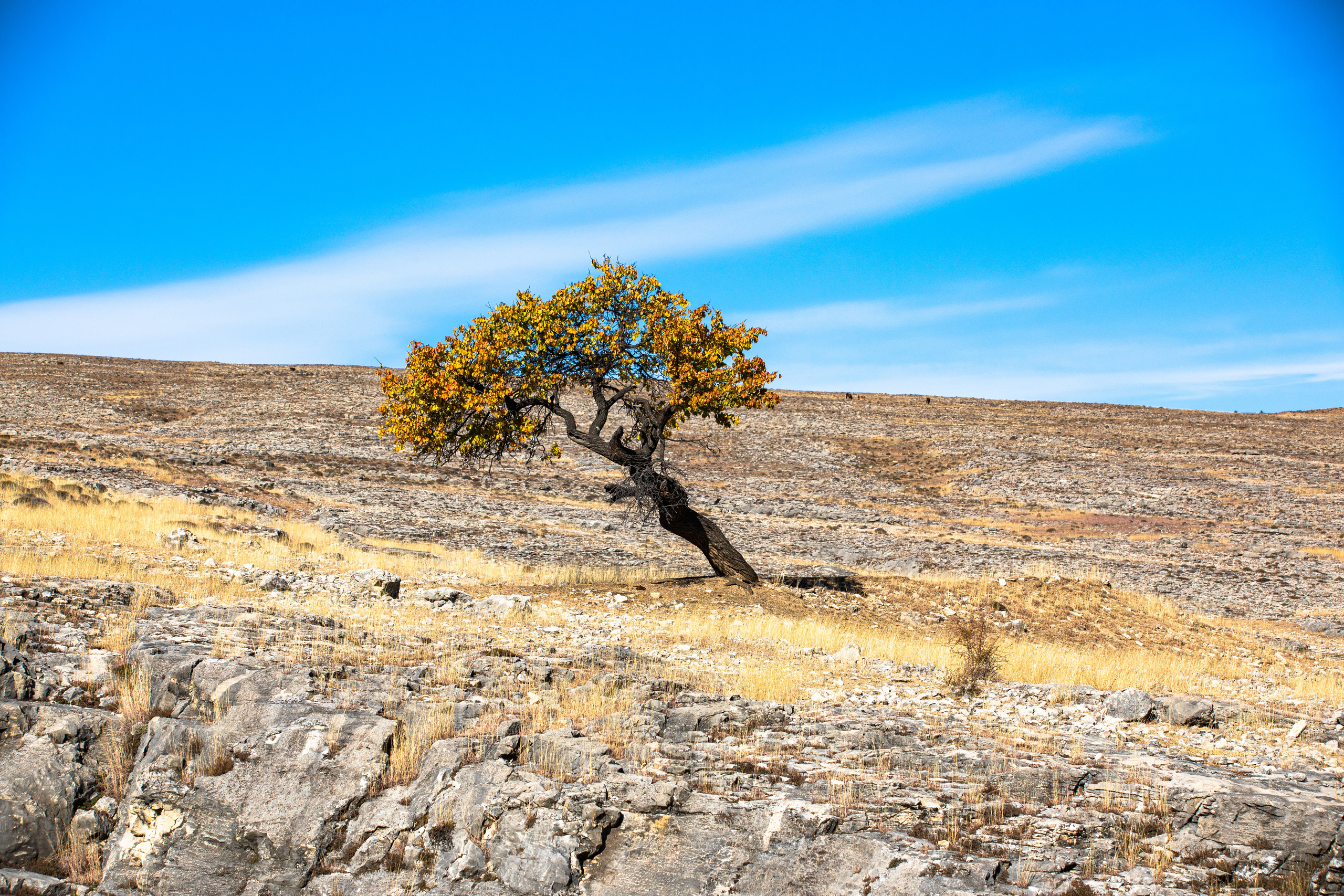 Северный Кавказ Волок. Фотографирую для себя, своей семьи и друзей!
