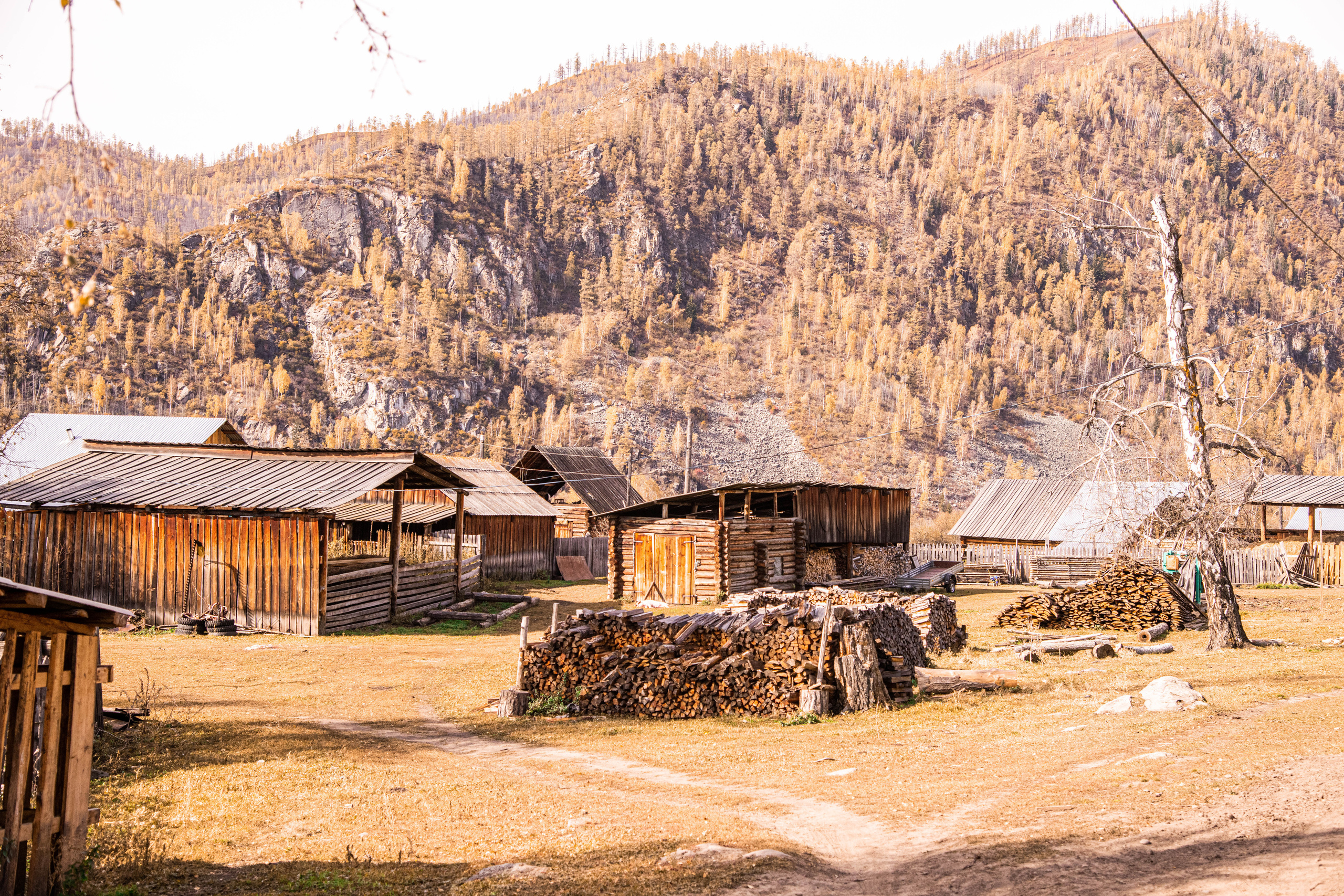 Алтай. Фотографирую для себя, своей семьи и друзей!