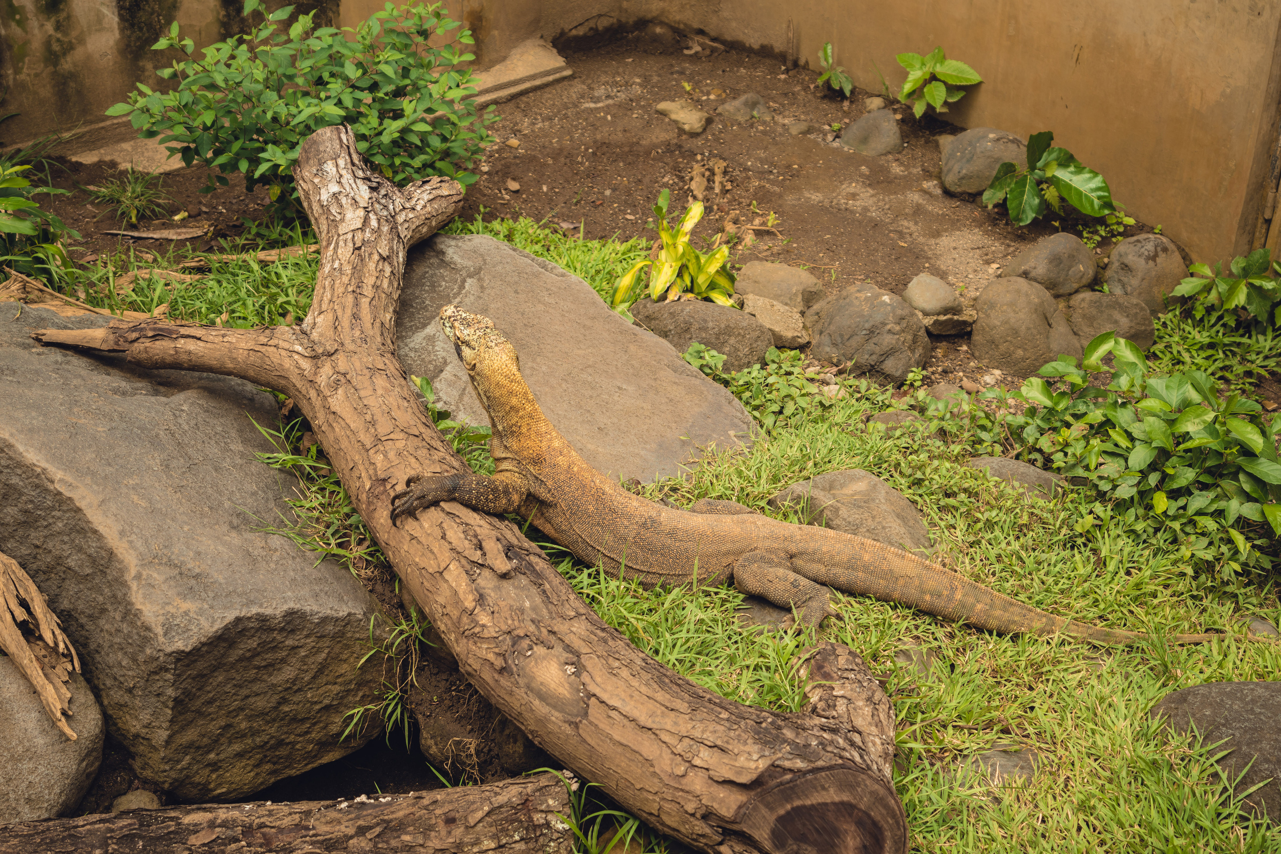 Бали. Фотографирую для себя, своей семьи и друзей!