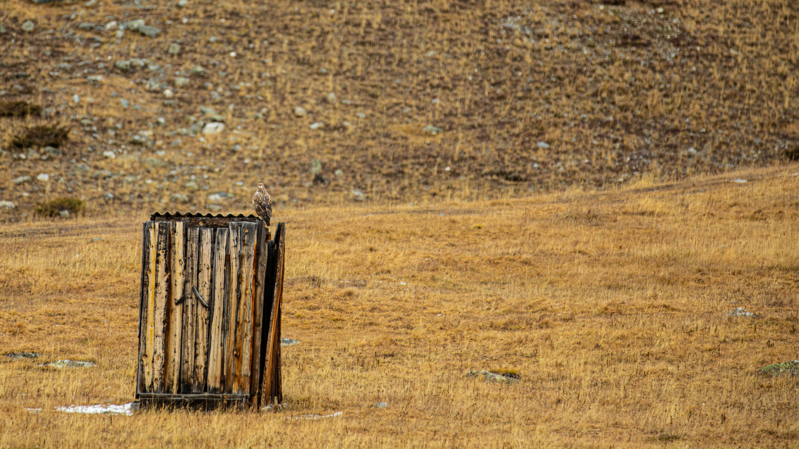 Алтай. Фотографирую для себя, своей семьи и друзей!