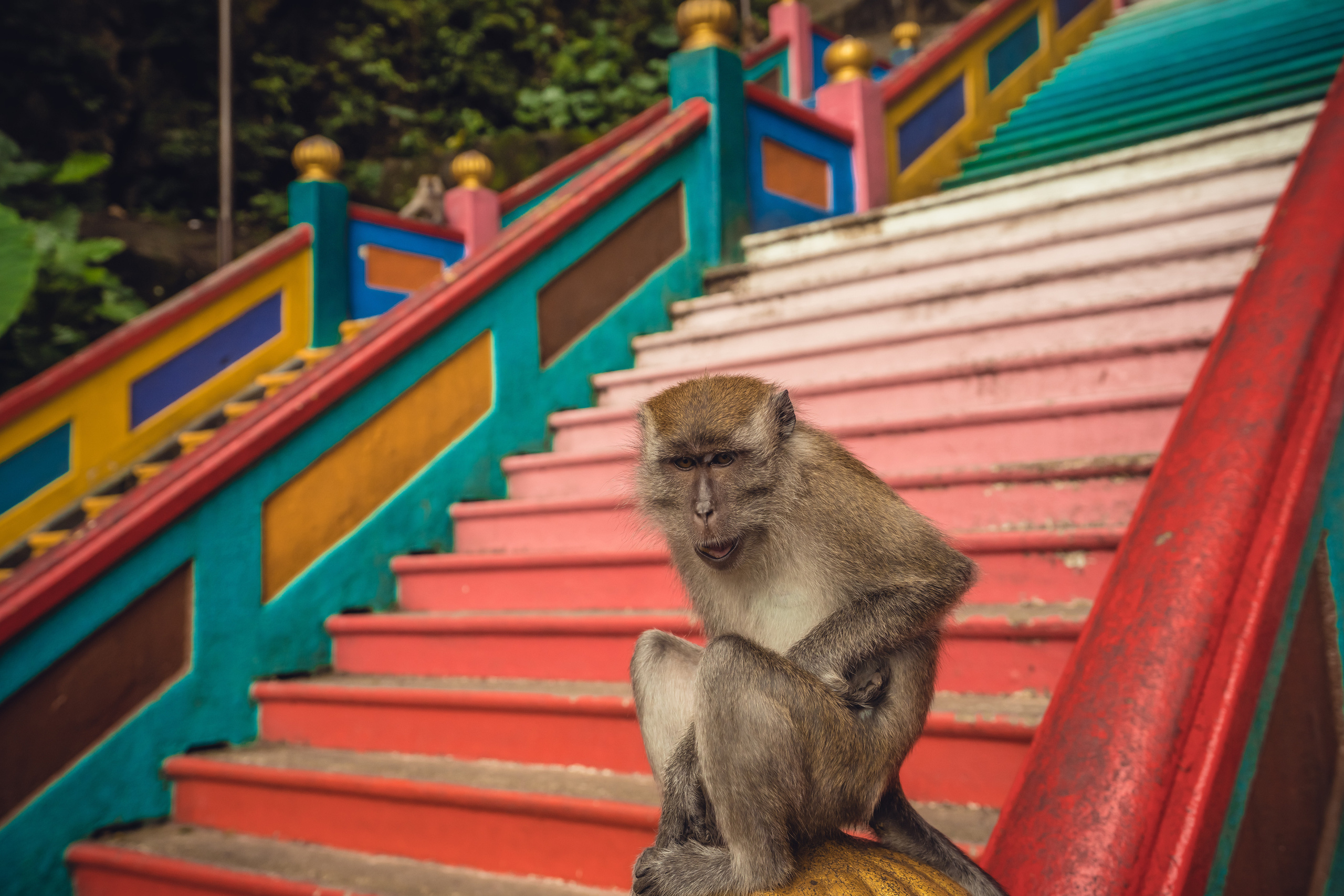 Куала Лумпур. Фотографирую для себя, своей семьи и друзей!