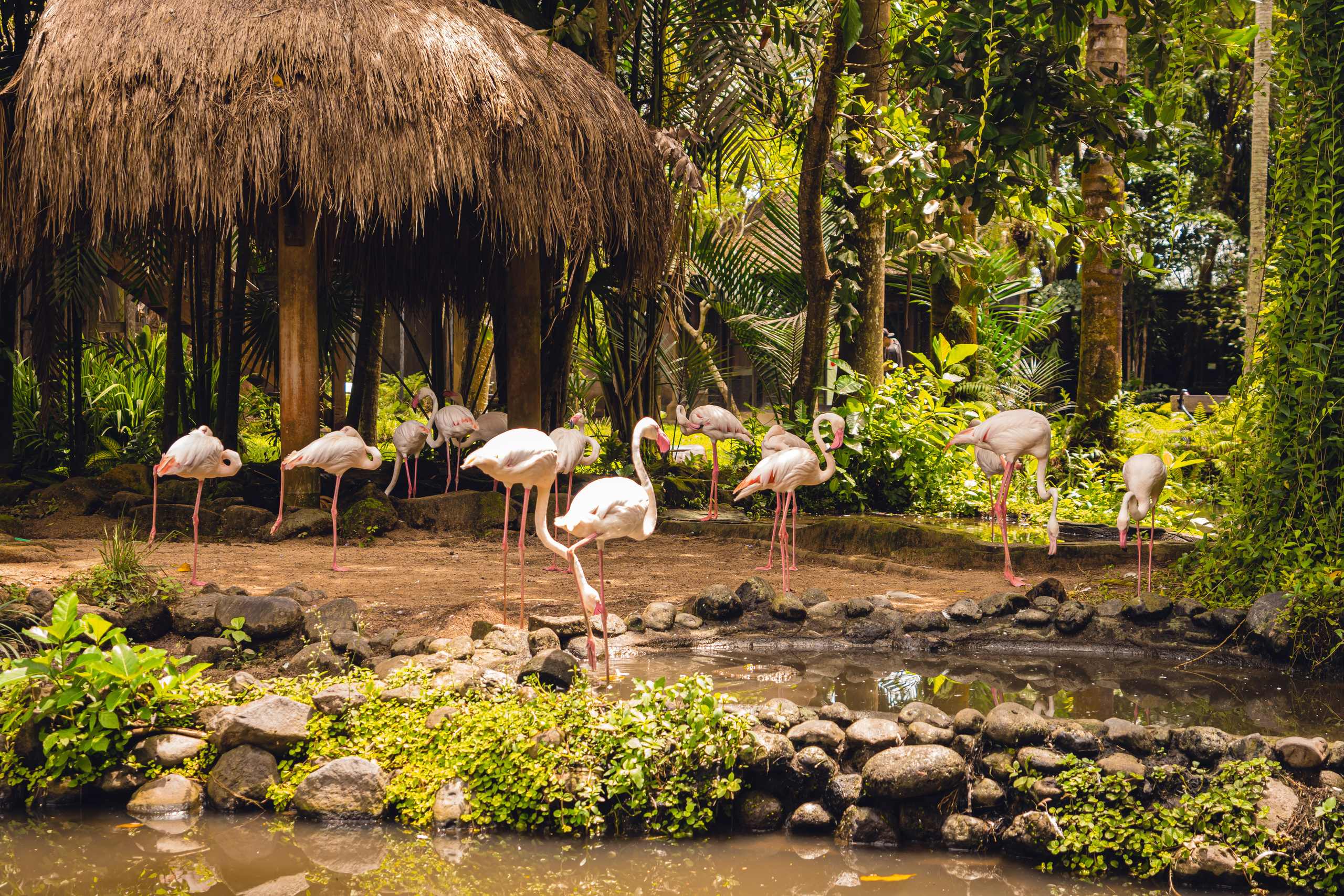 Бали. Фотографирую для себя, своей семьи и друзей!