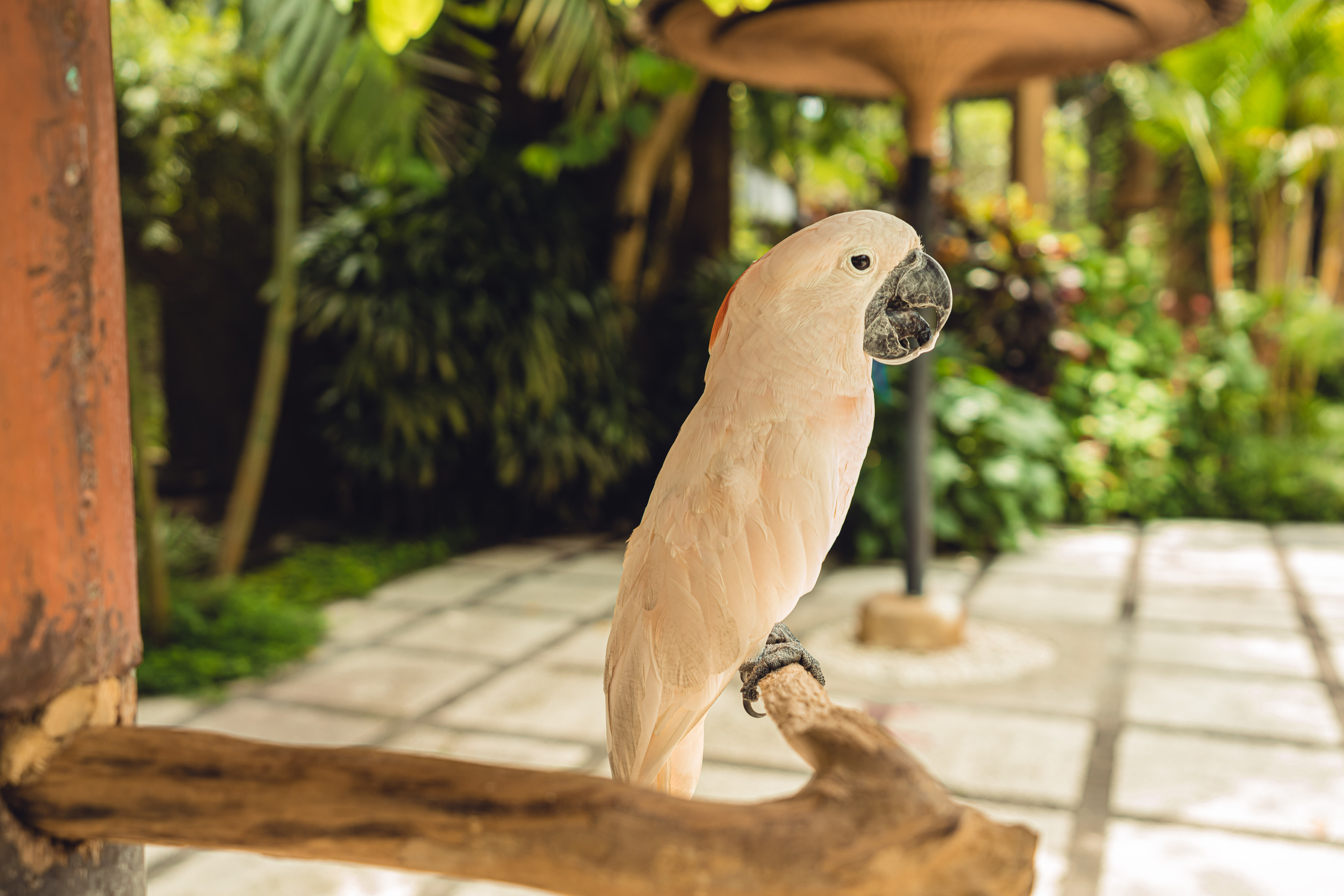 Бали. Фотографирую для себя, своей семьи и друзей!