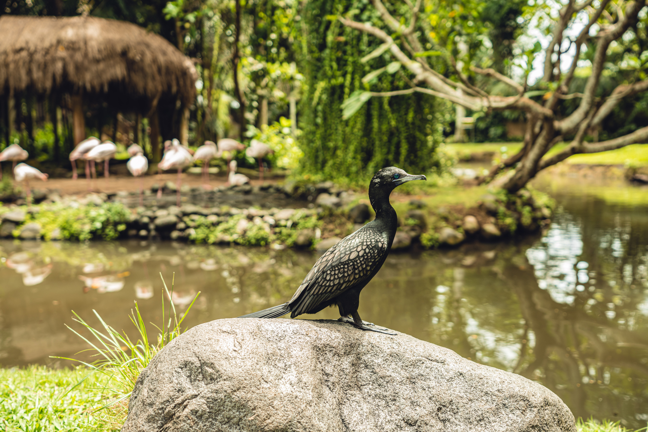 Бали. Фотографирую для себя, своей семьи и друзей!