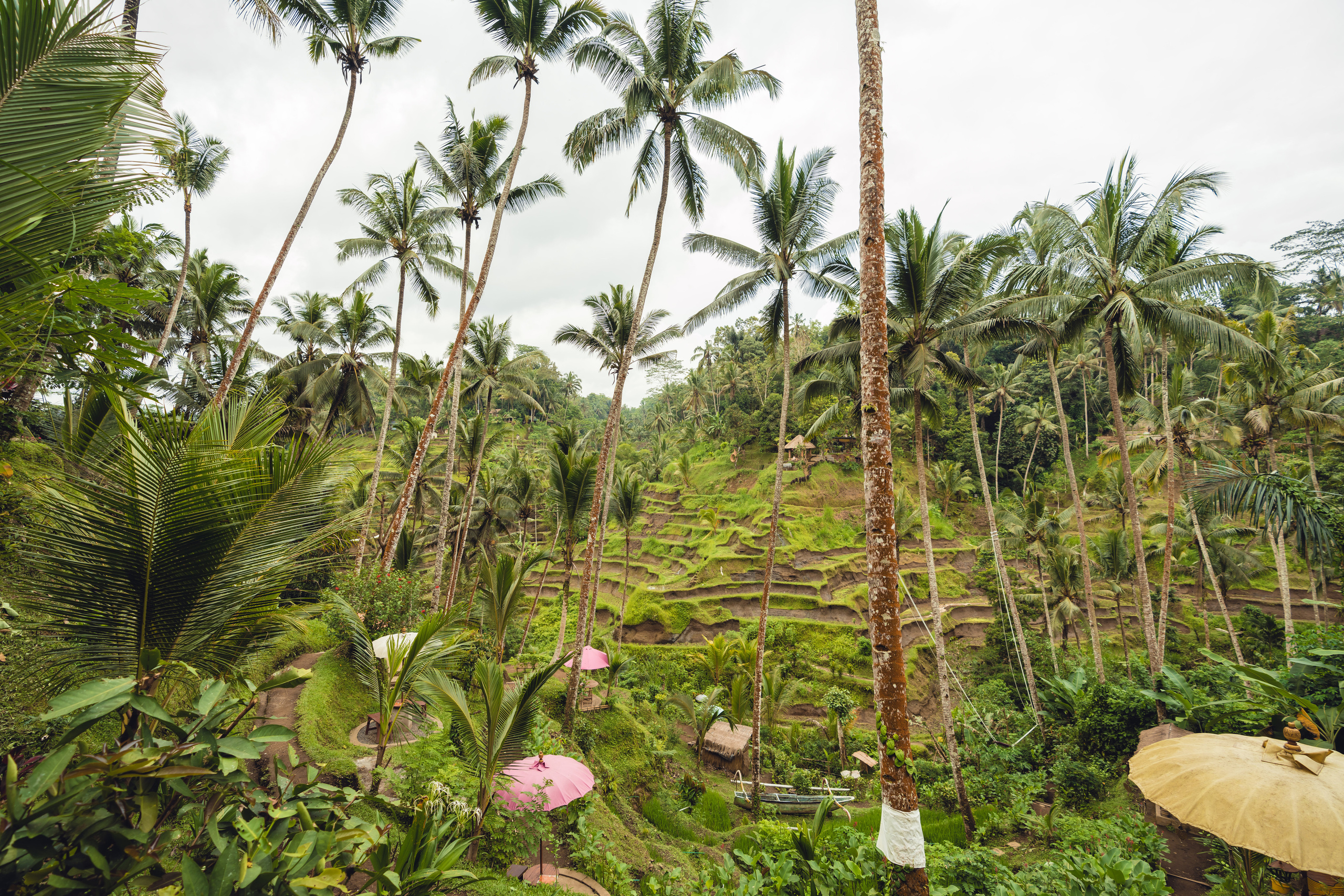 Бали. Фотографирую для себя, своей семьи и друзей!