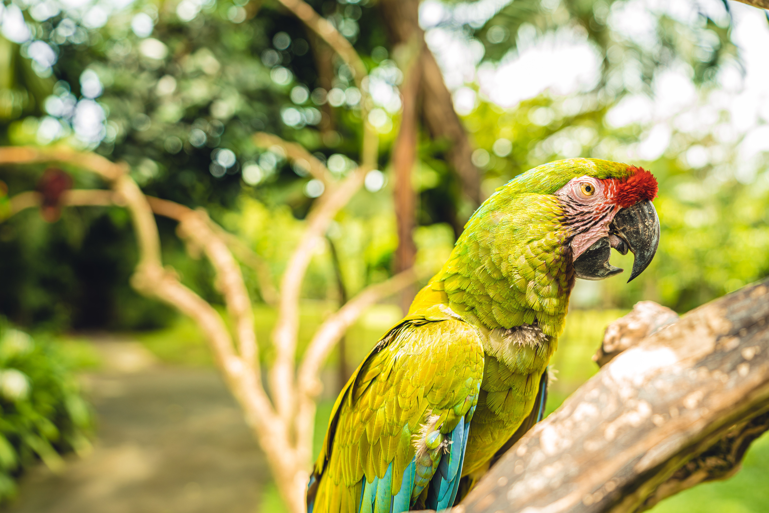 Бали. Фотографирую для себя, своей семьи и друзей!