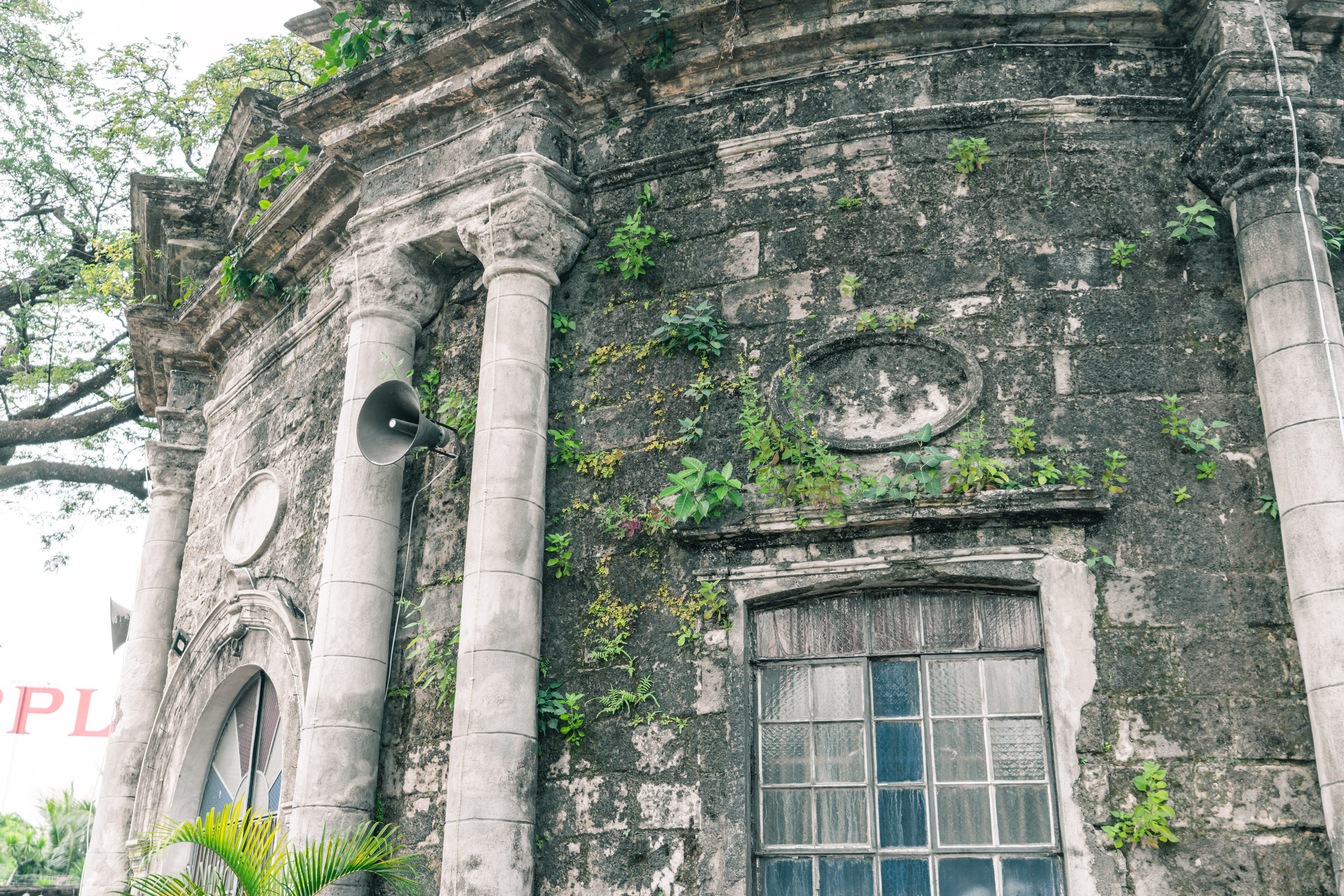 Манила. Фотографирую для себя, своей семьи и друзей!